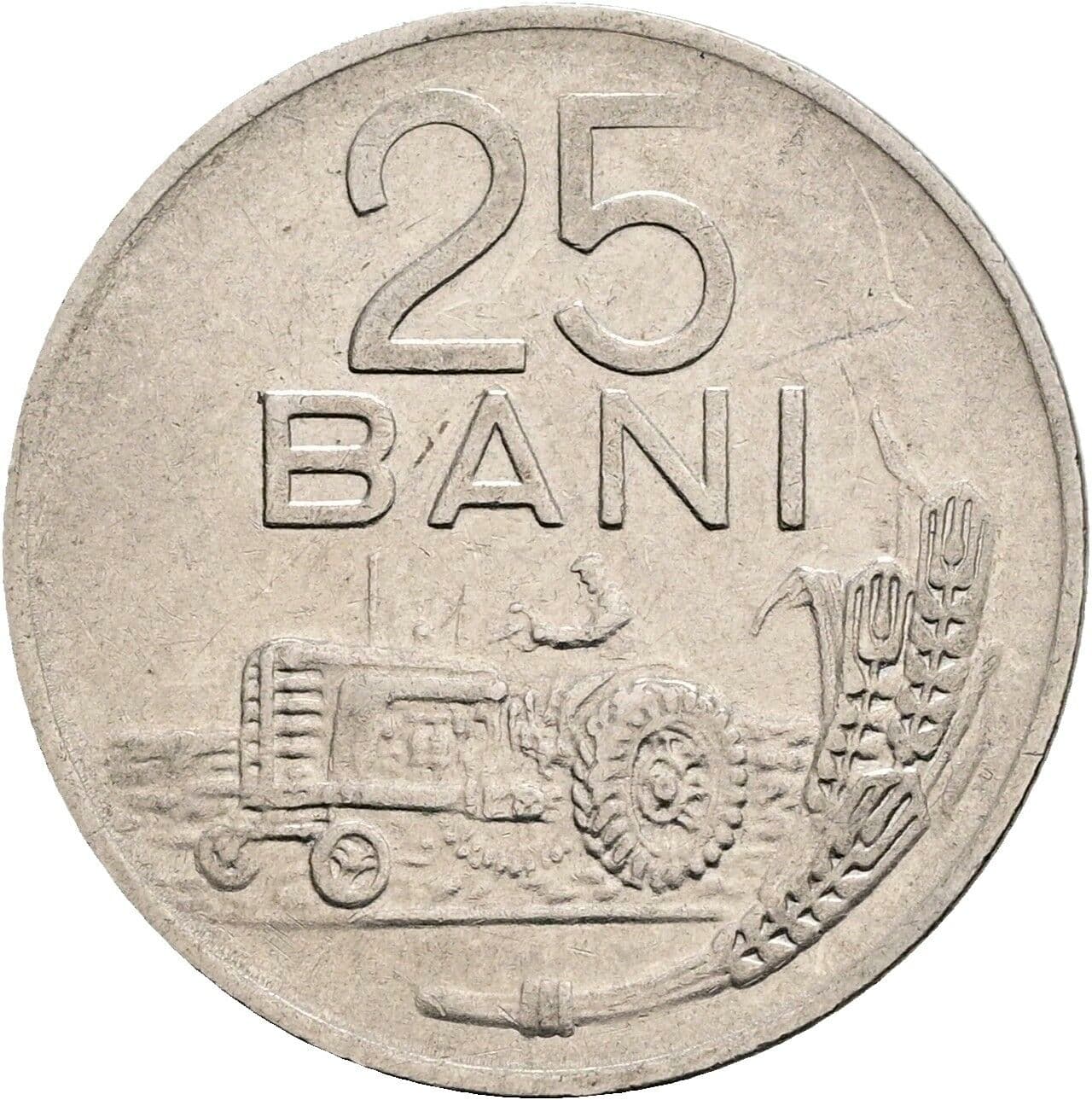 25 Bani