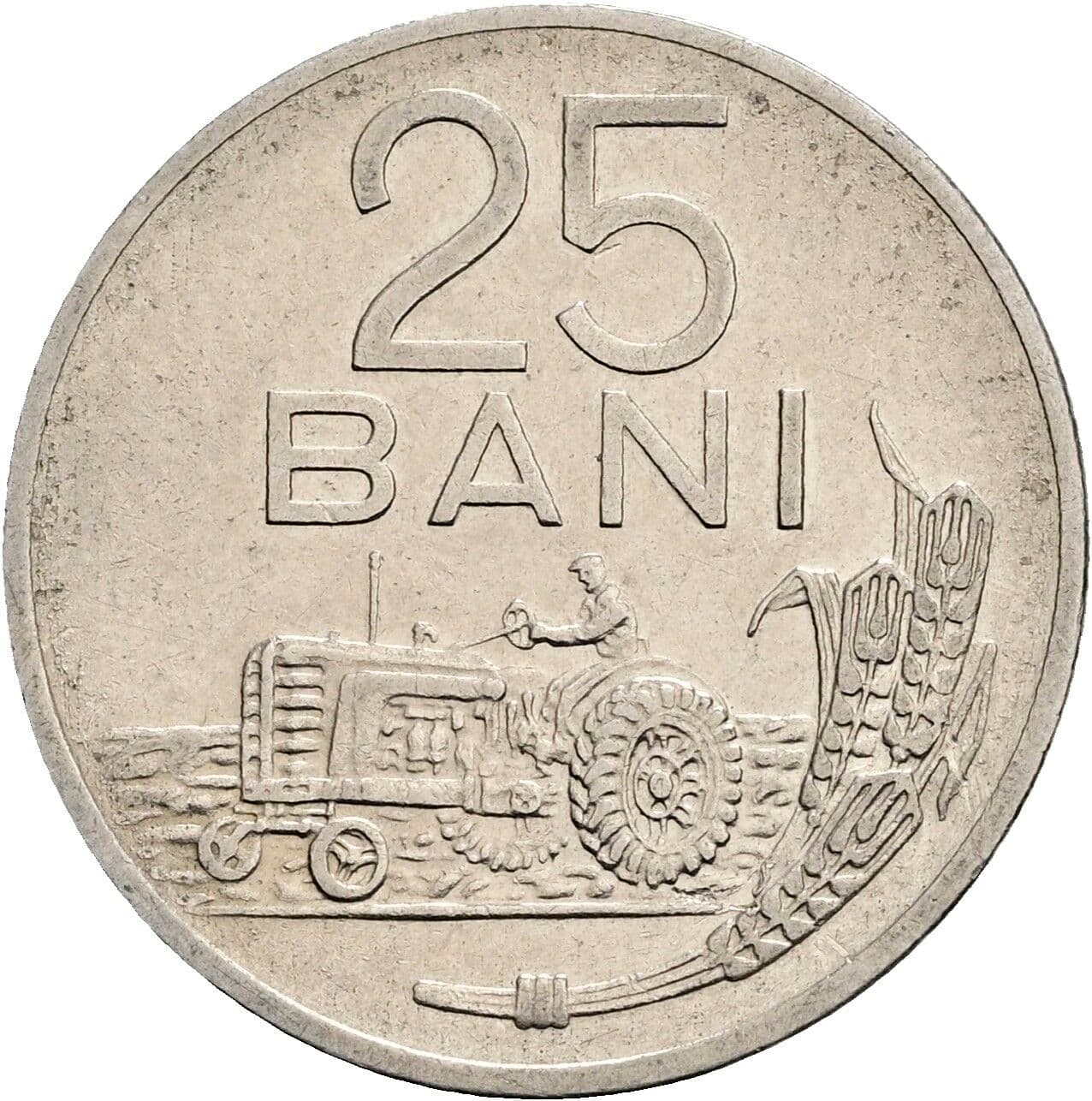 25 Bani