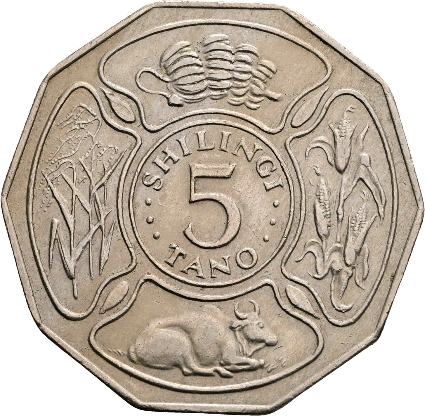 5 Shillingi