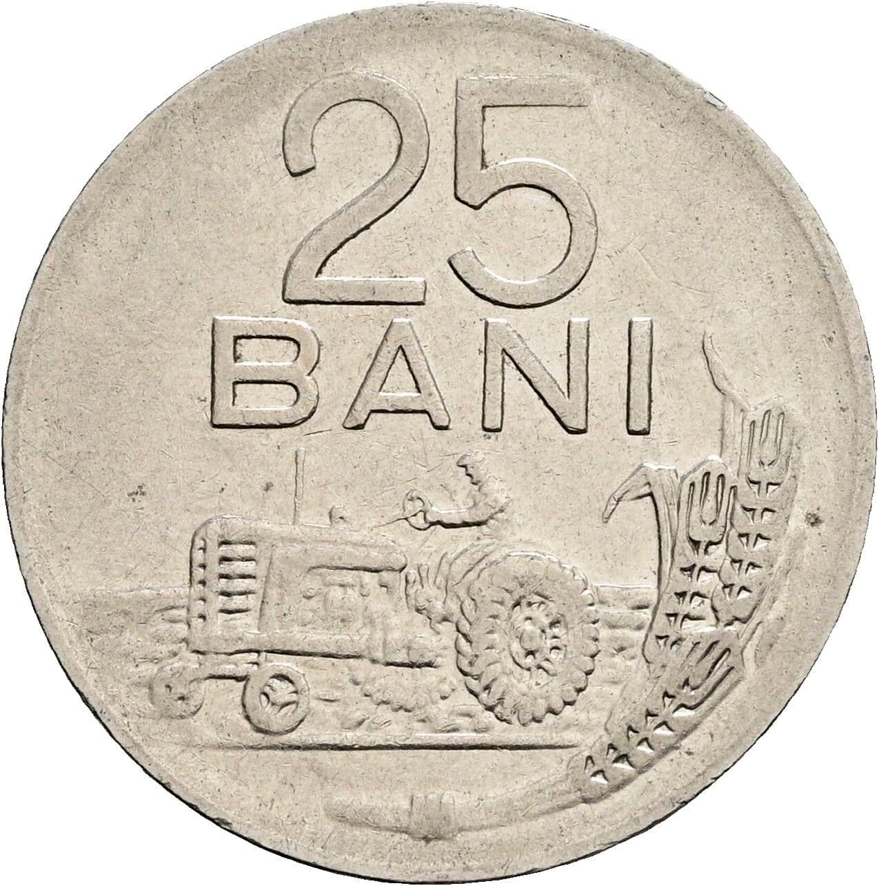 25 Bani