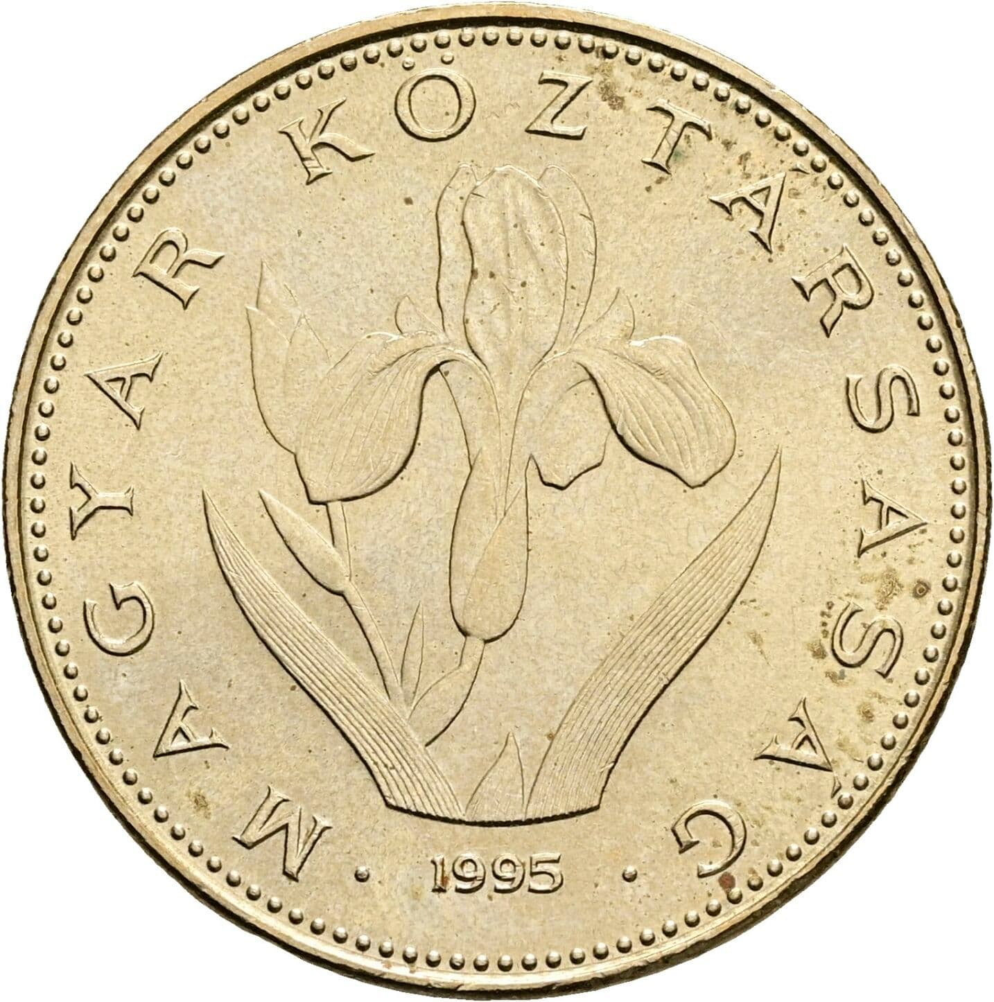 20 Forint