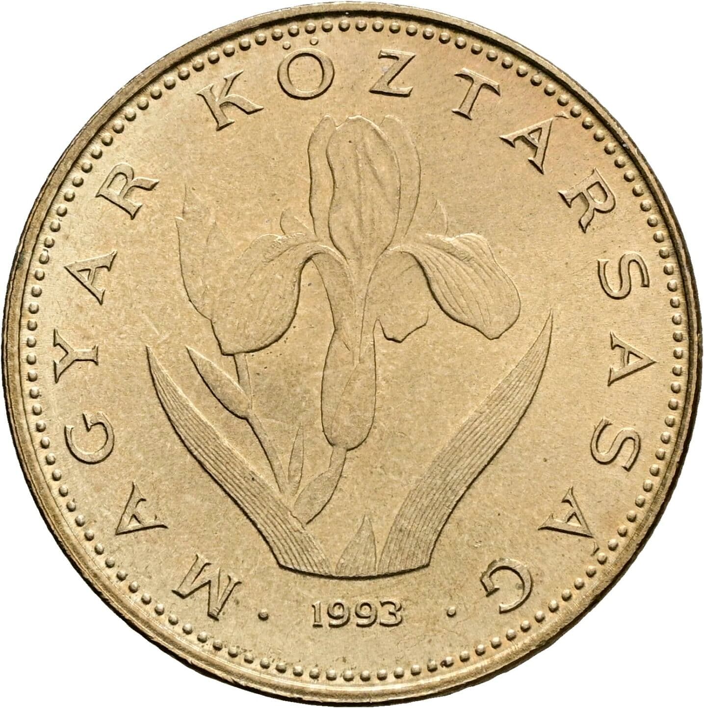 20 Forint