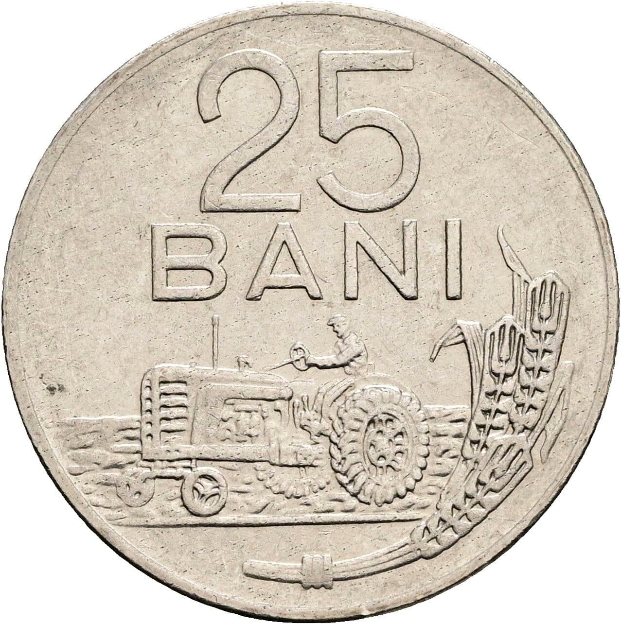 25 Bani
