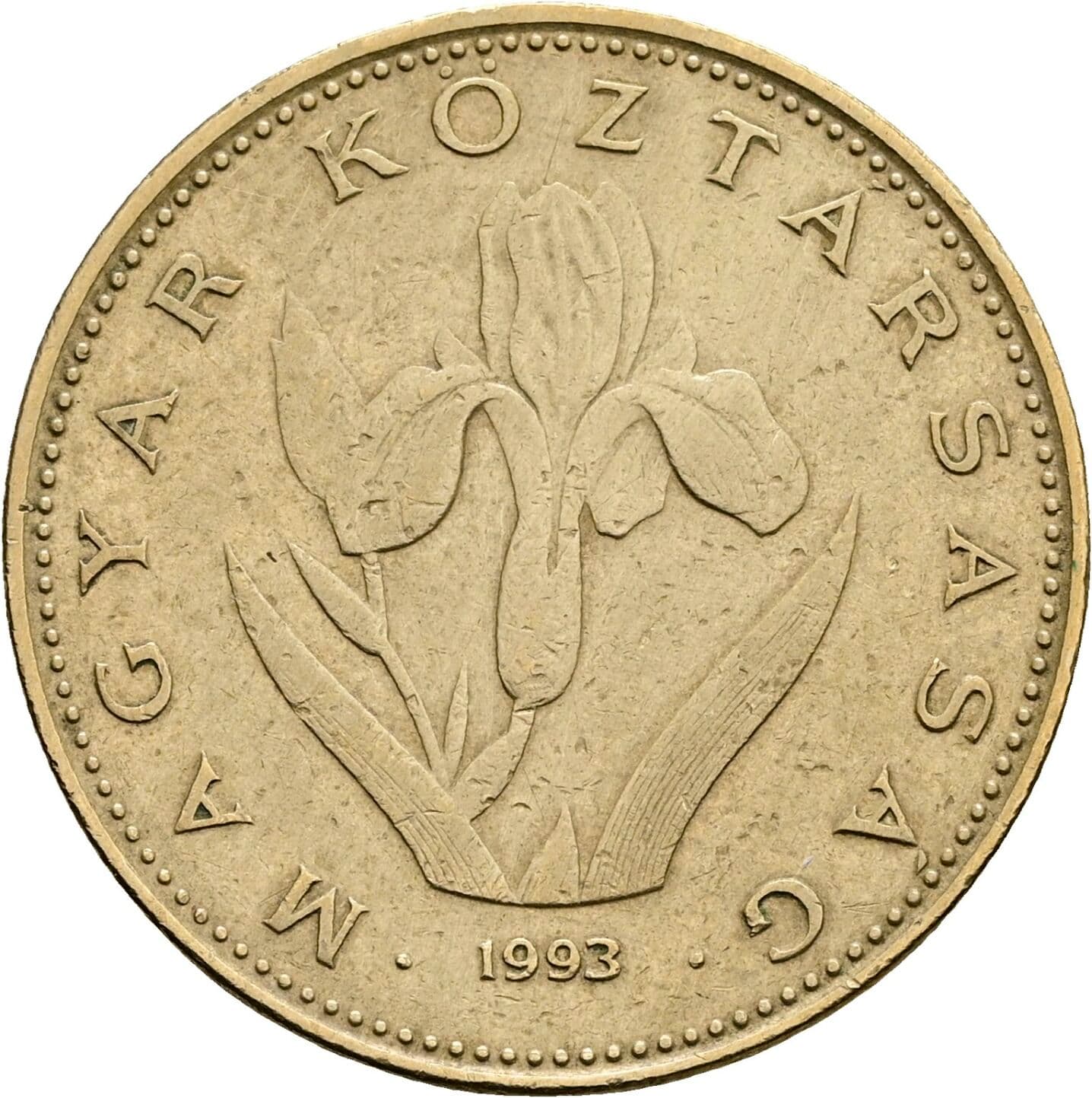 20 Forint