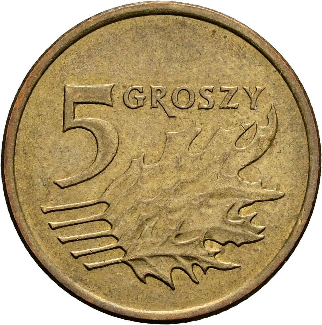 5 Groszy