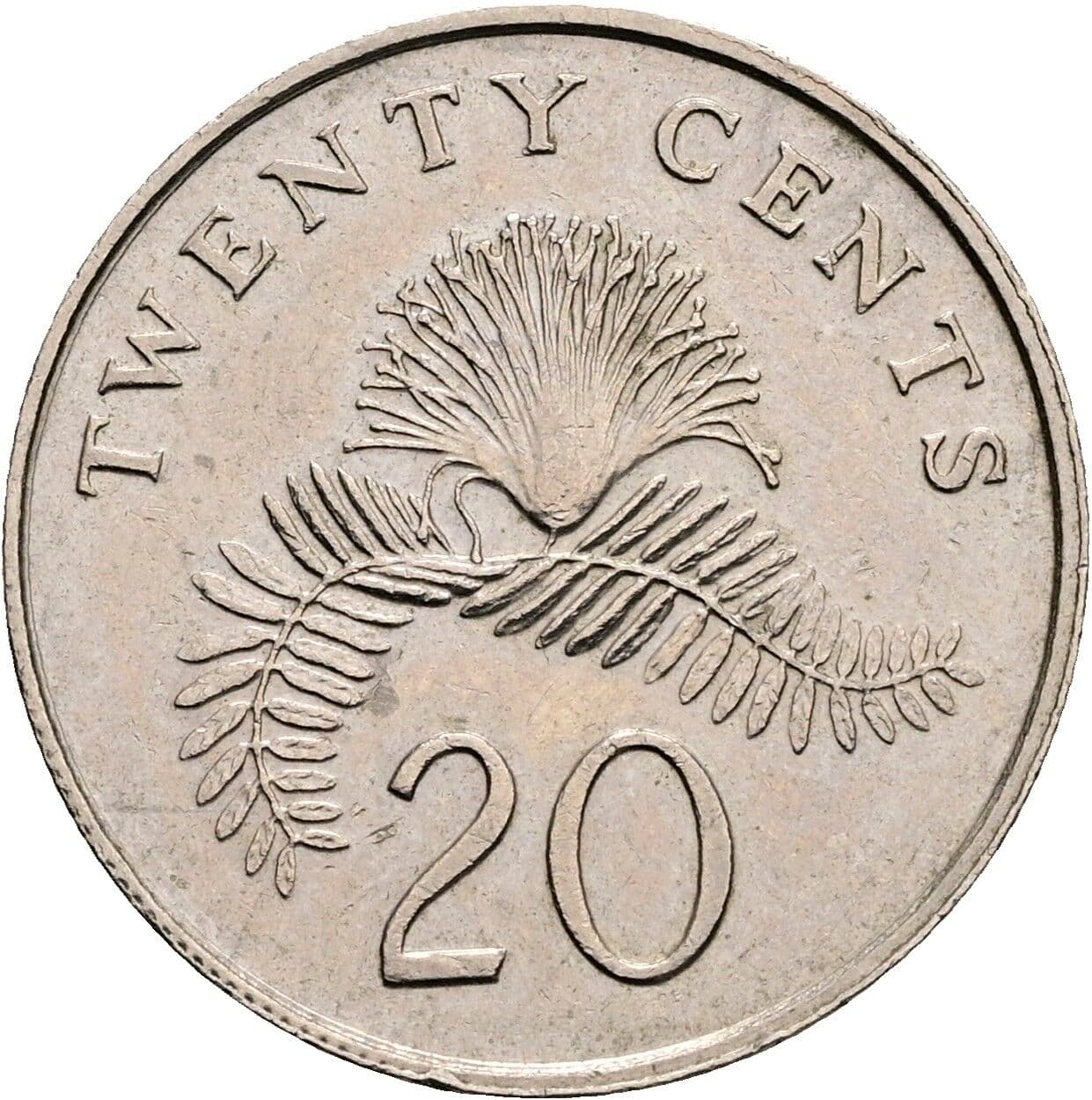 20 Cents