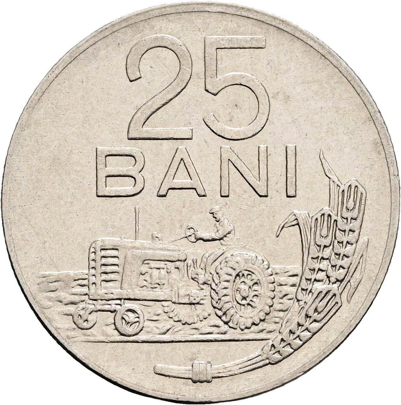 25 Bani