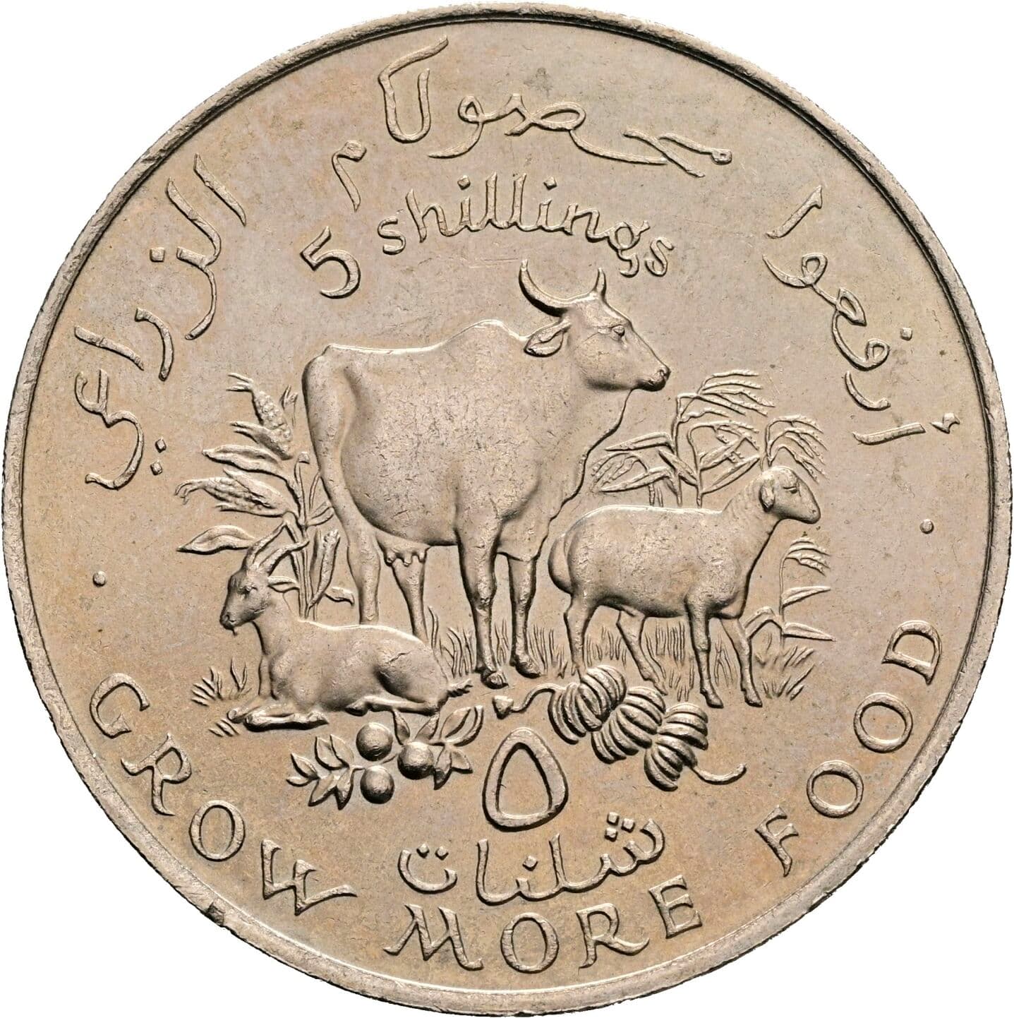 5 Shillings