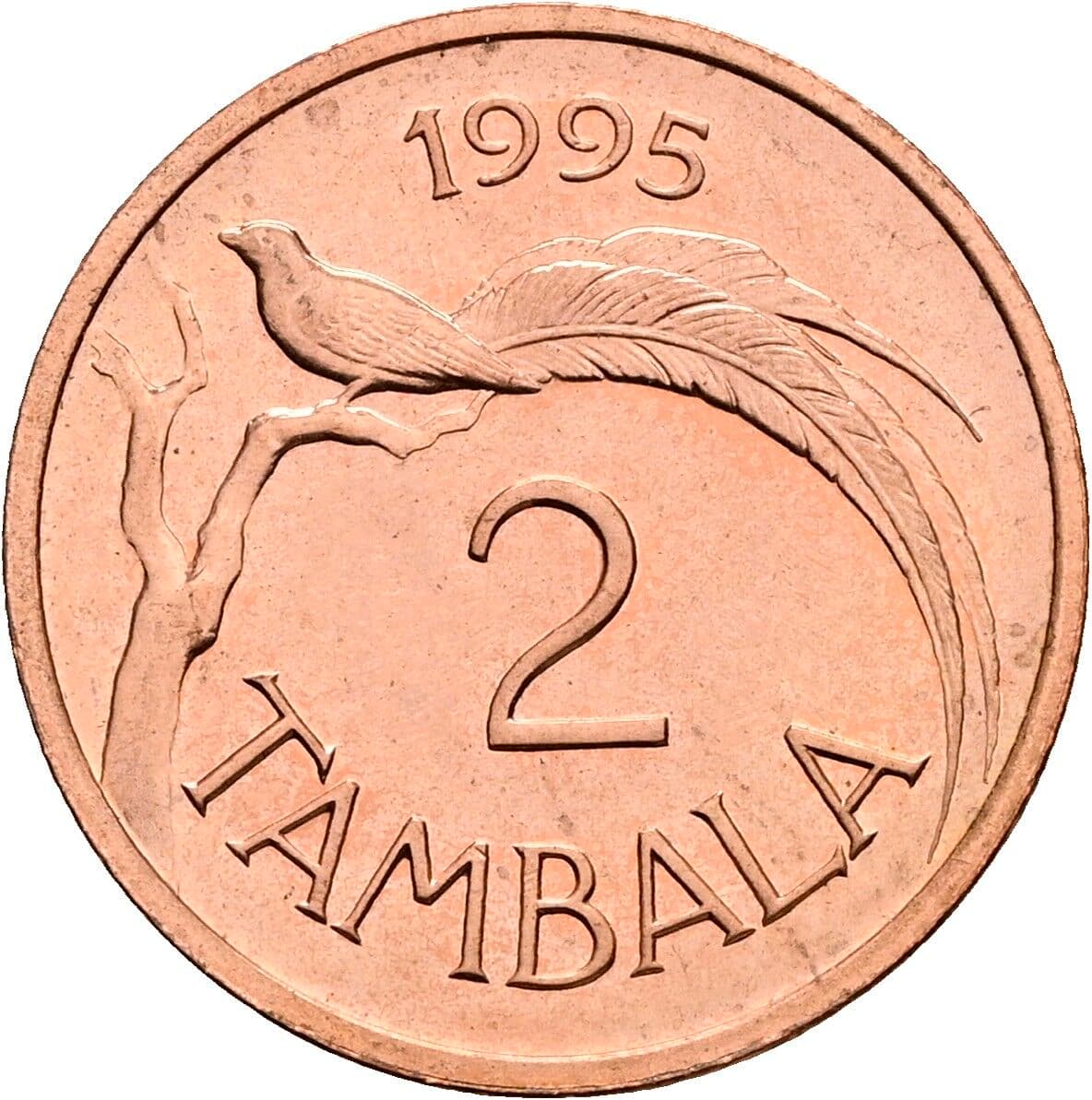 2 Tambala