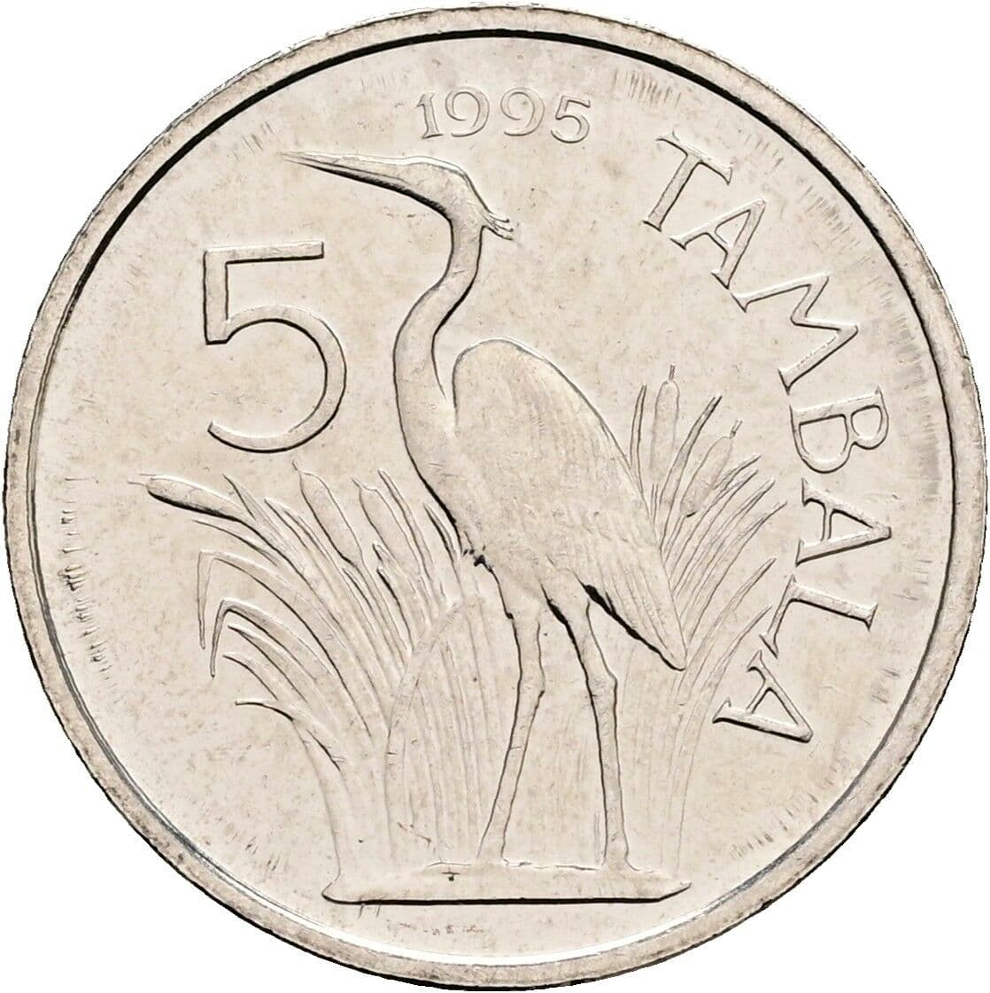 5 Tambala
