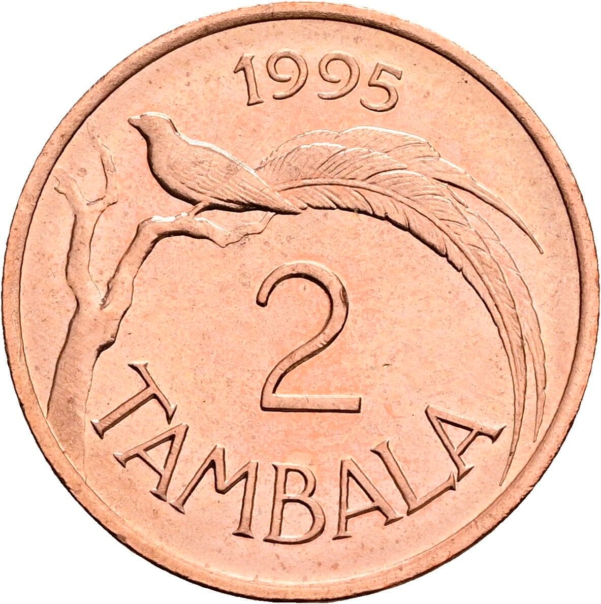 2 Tambala