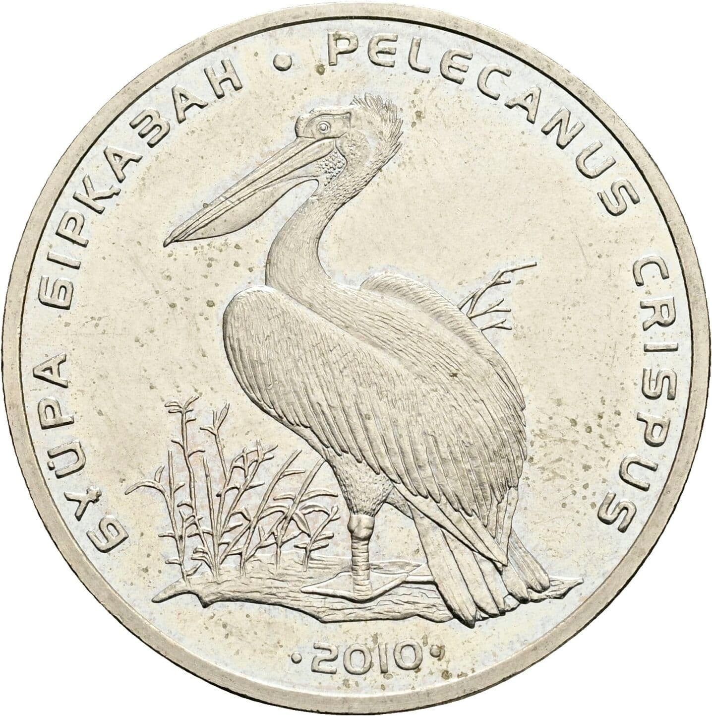 50 Tenge