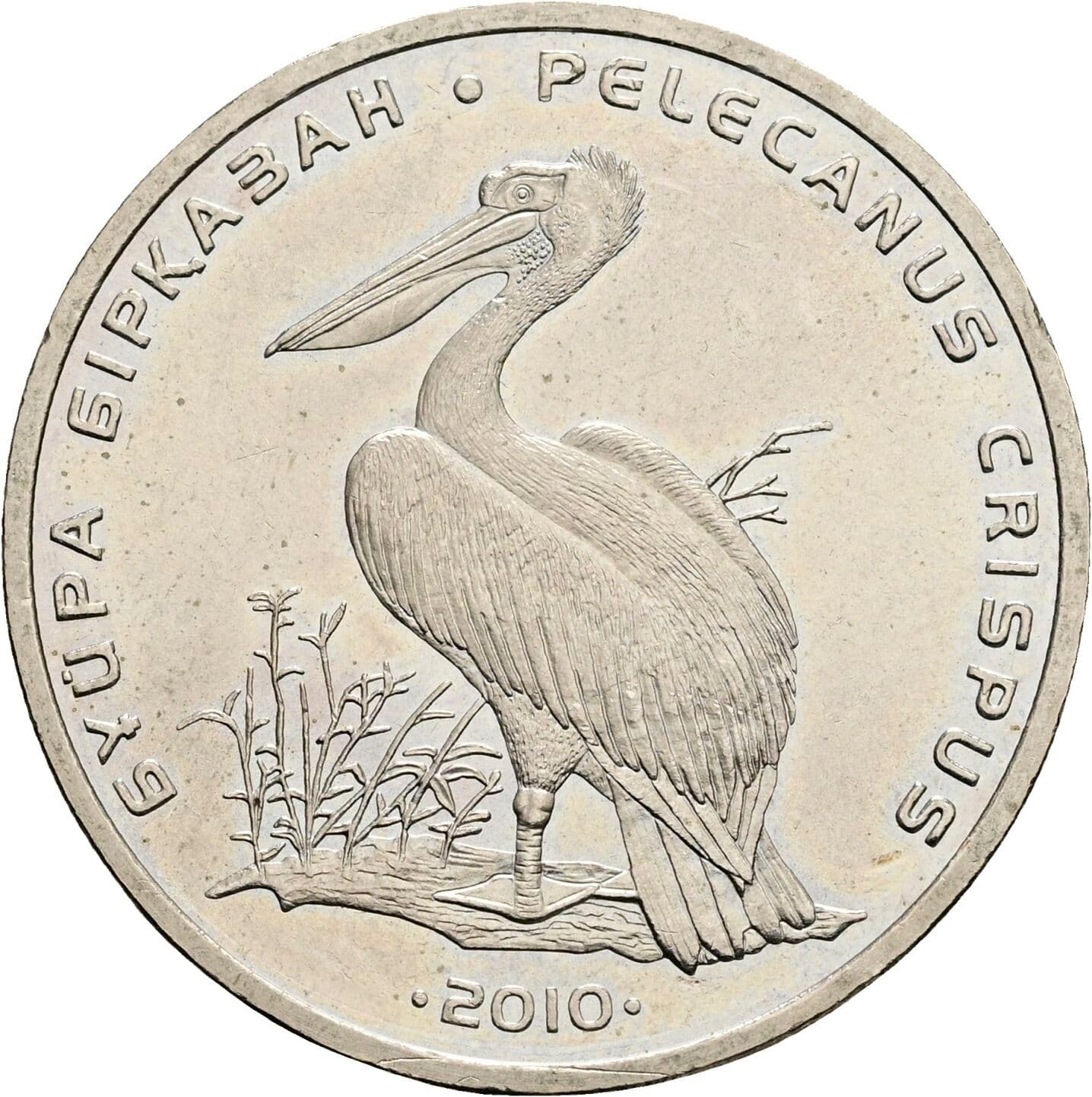 50 Tenge