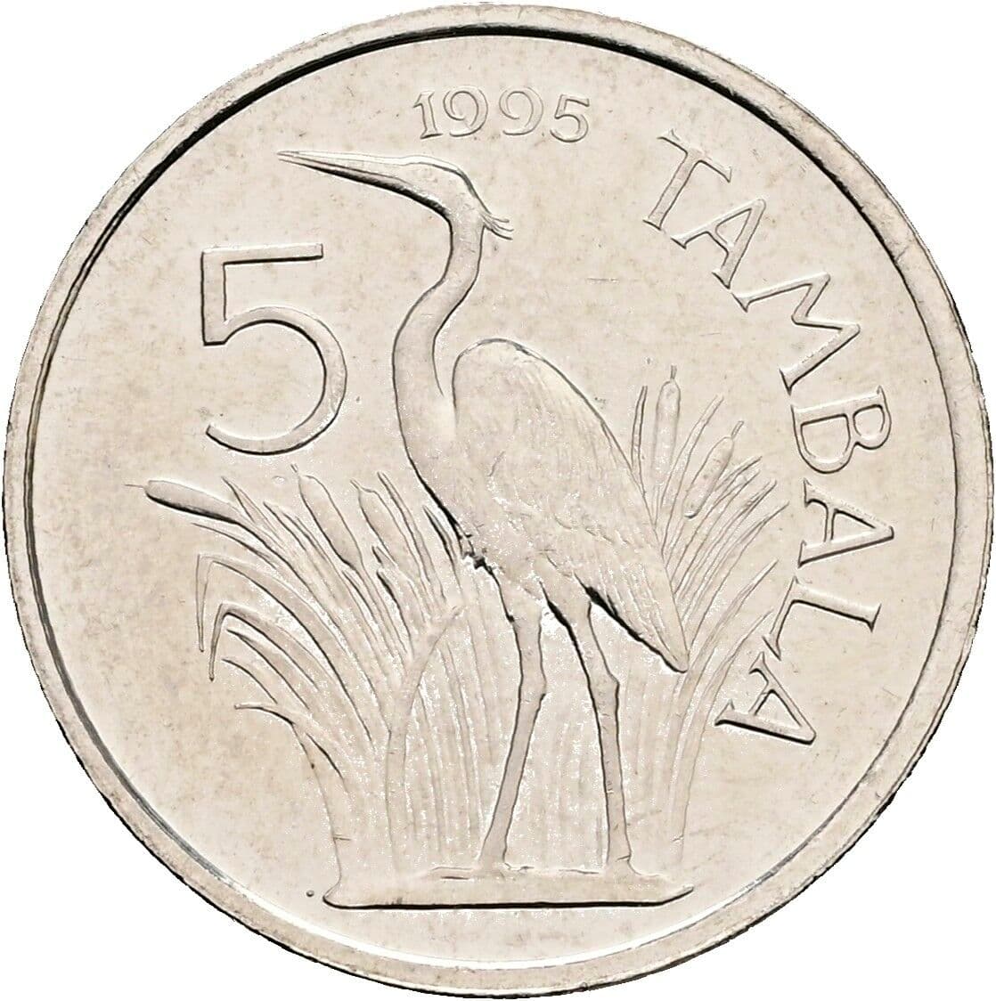 5 Tambala
