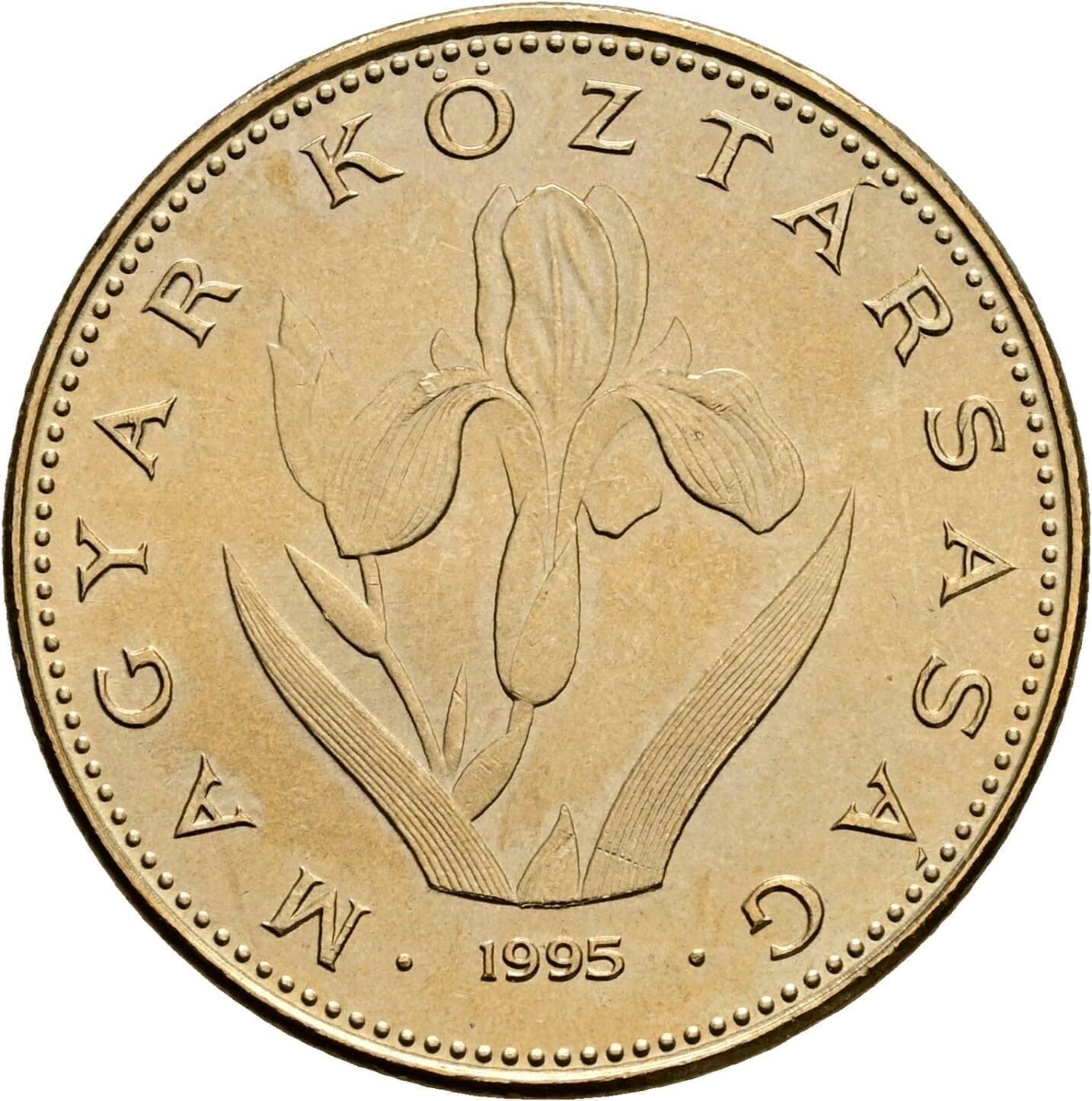 20 Forint