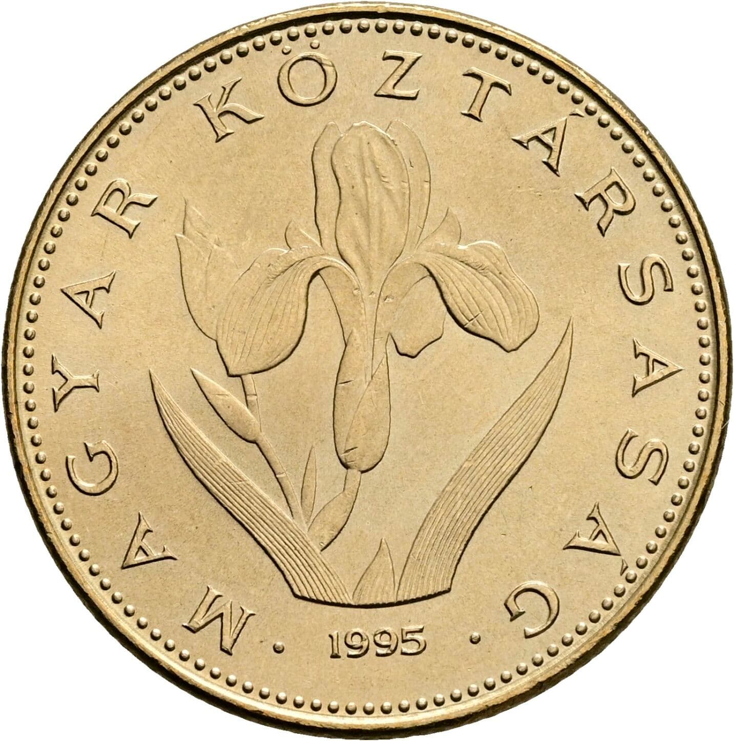 20 Forint 1995 – Rückseite
