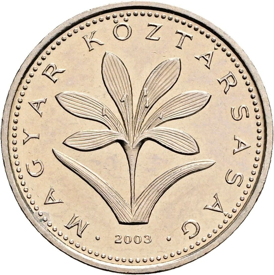 2 Forint 2003 – Rückseite