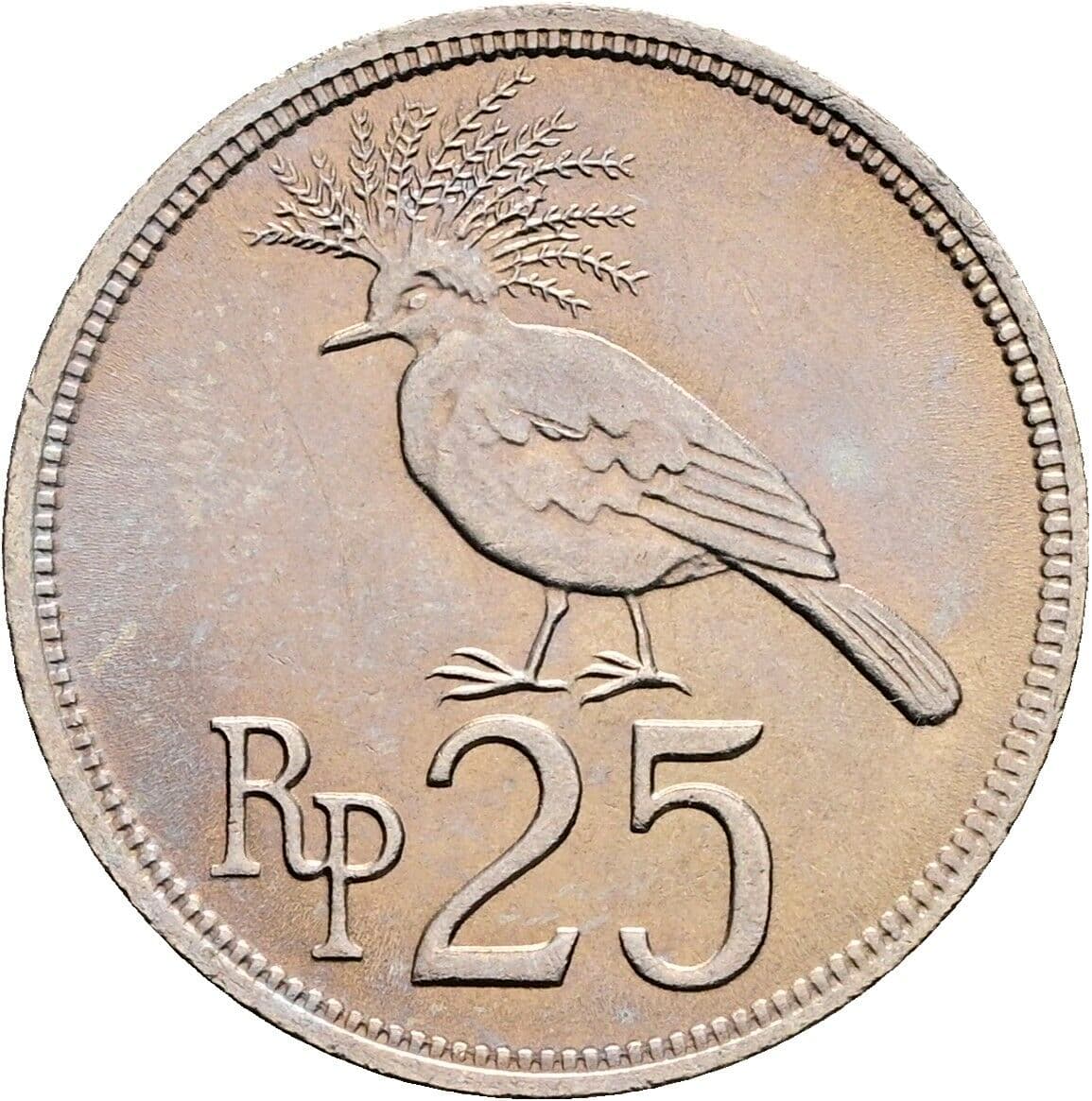 25 Rupiah 1971 – Rückseite