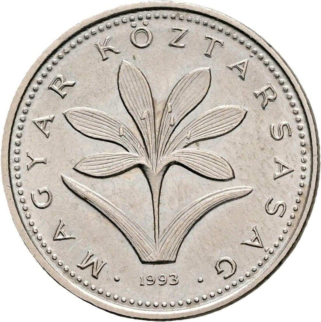 2 Forint 1993 – Rückseite