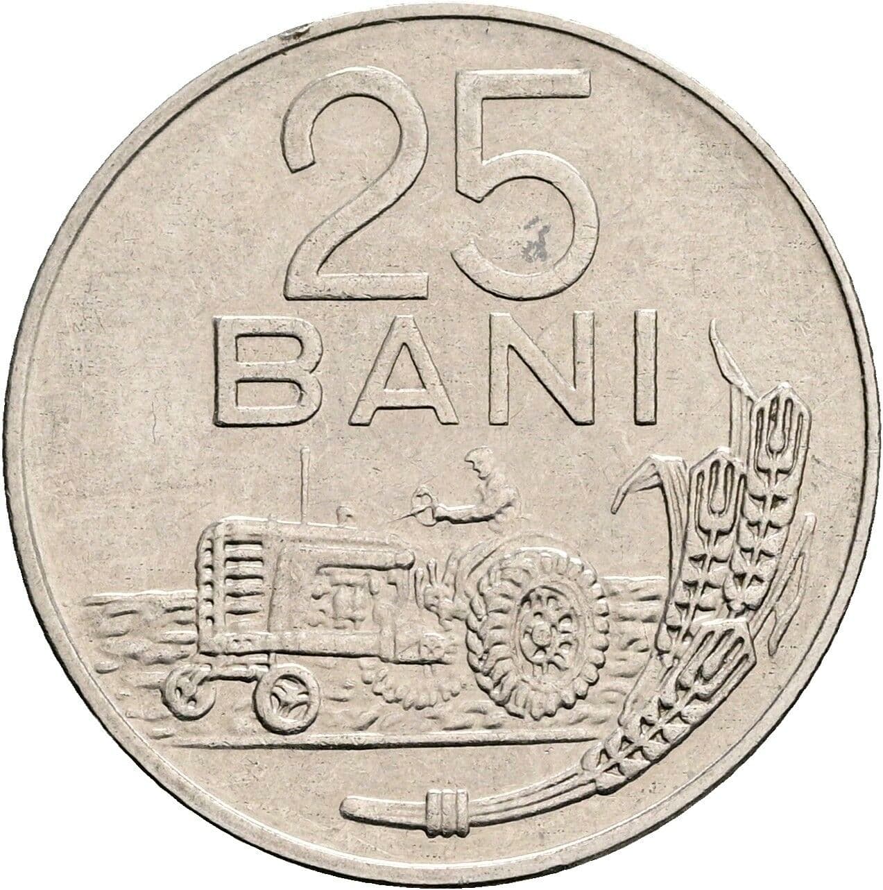 25 Bani
