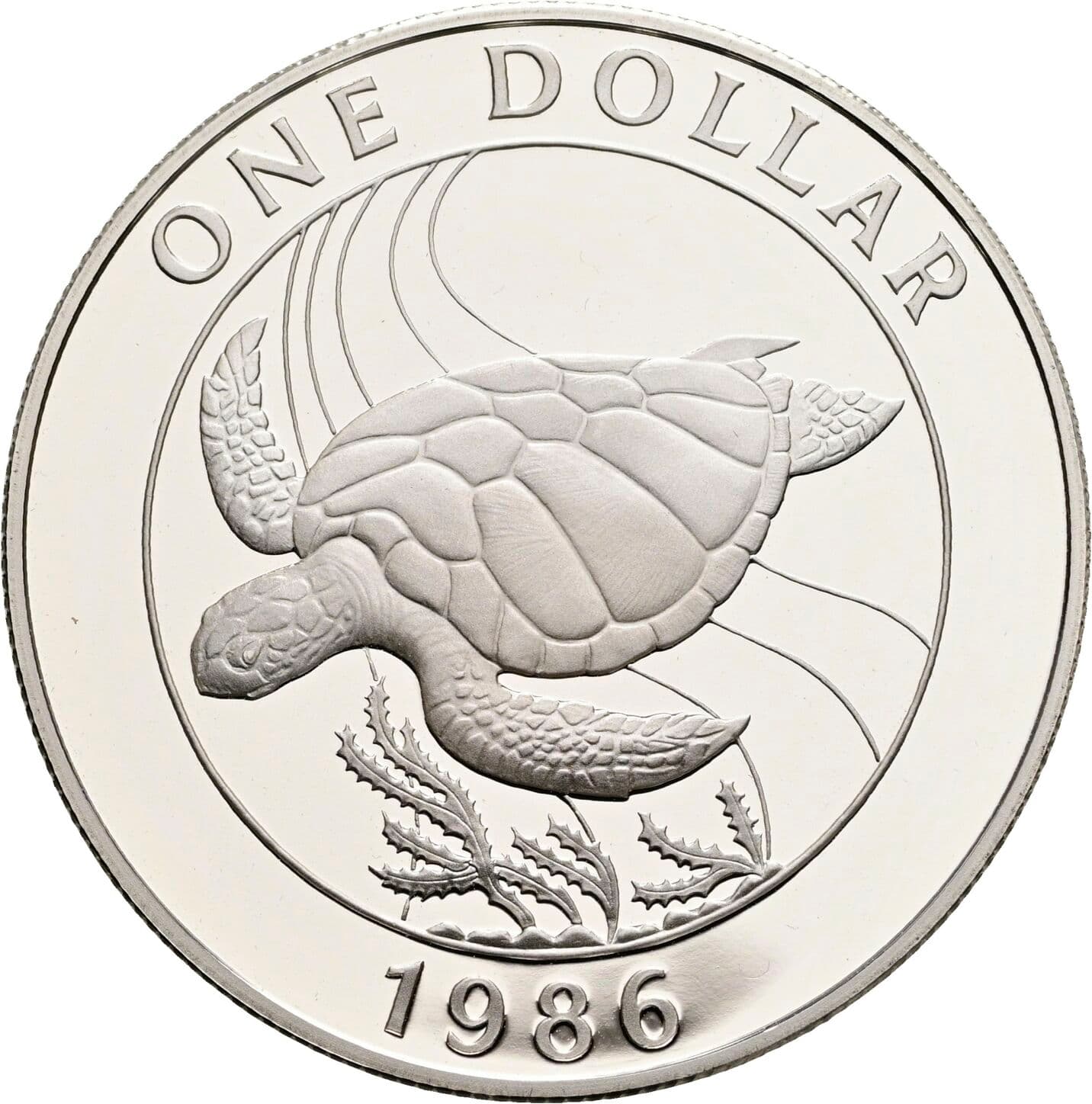 1 Dollar
