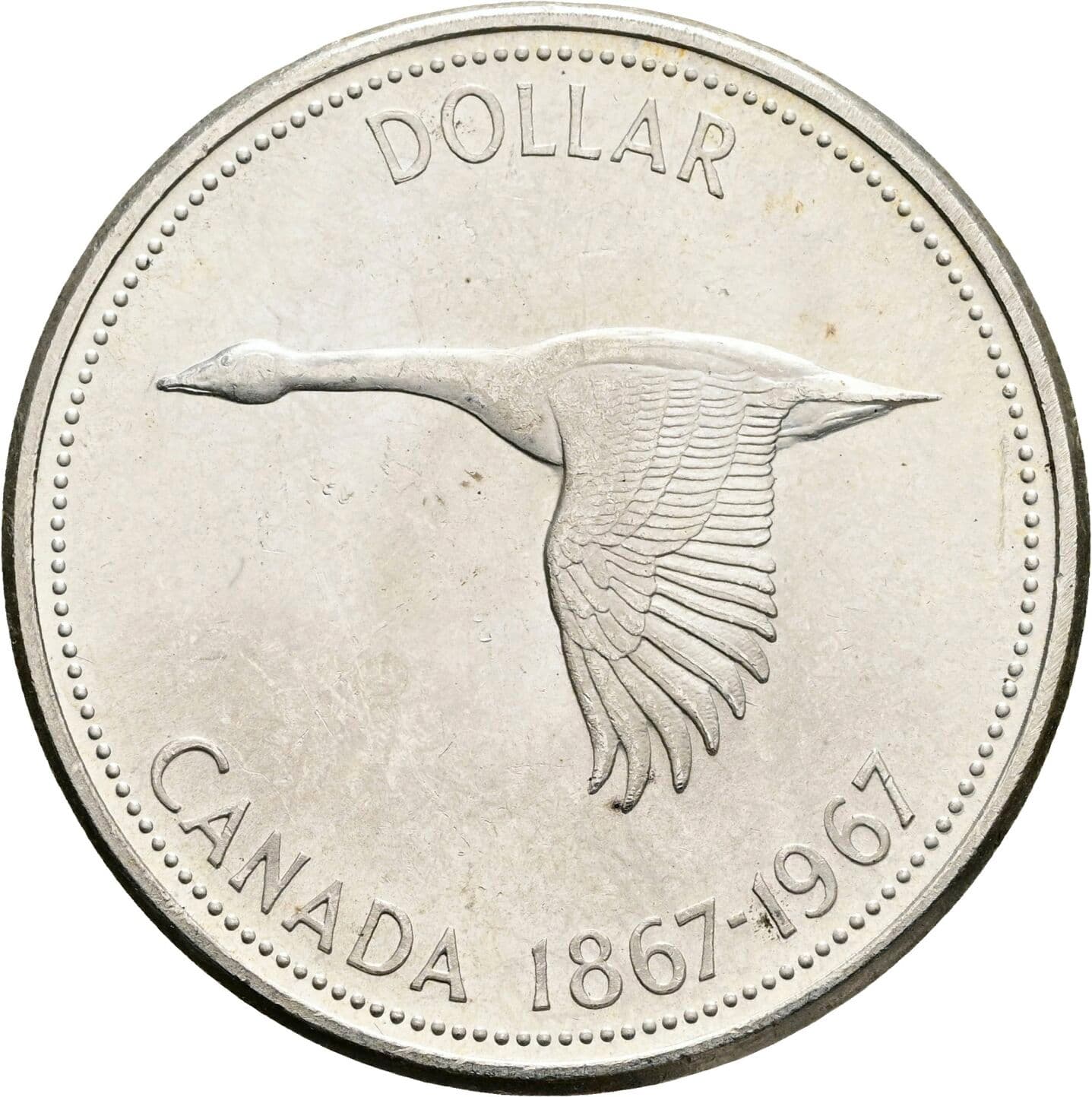 1 Dollar
