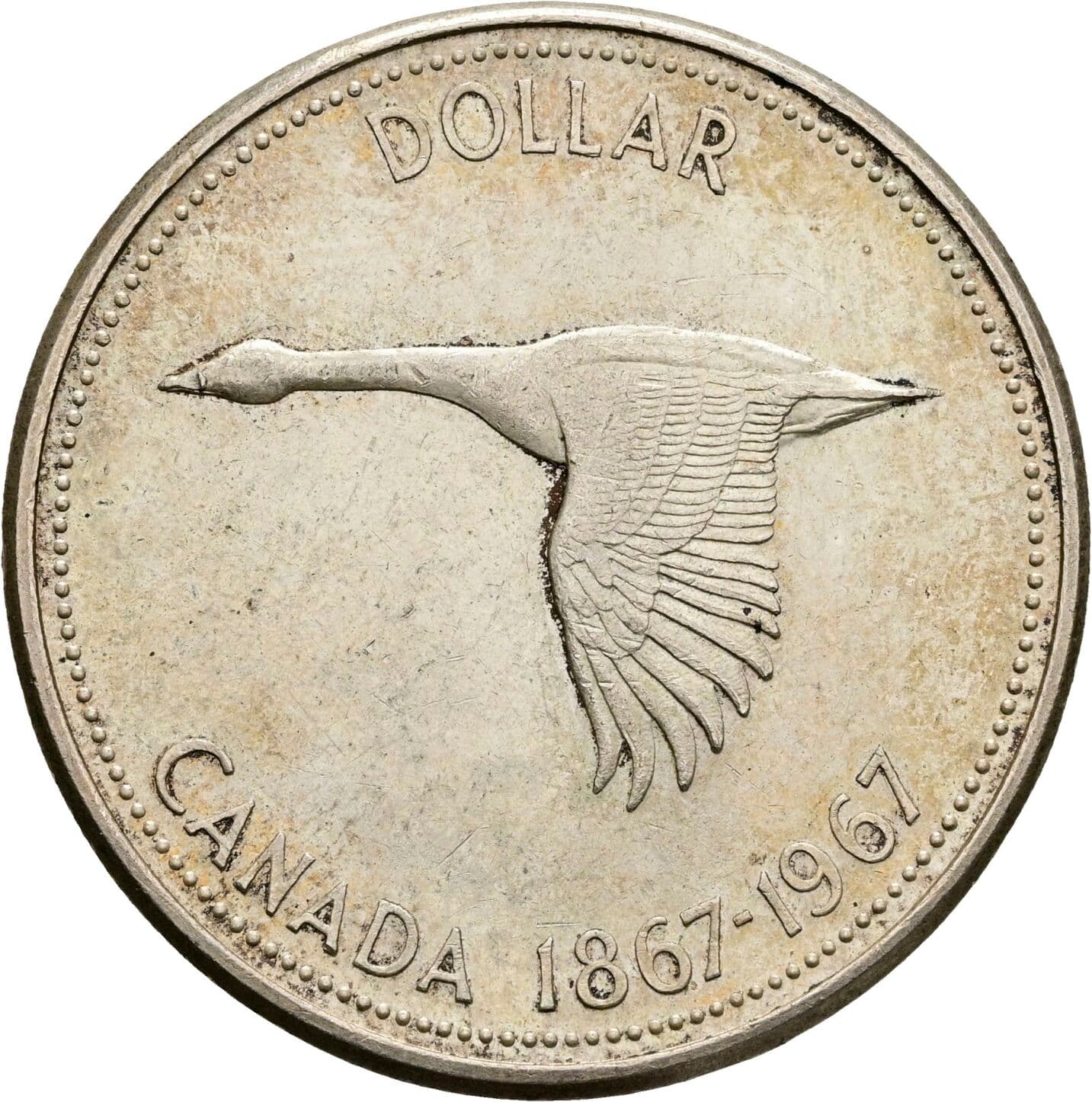 1 Dollar
