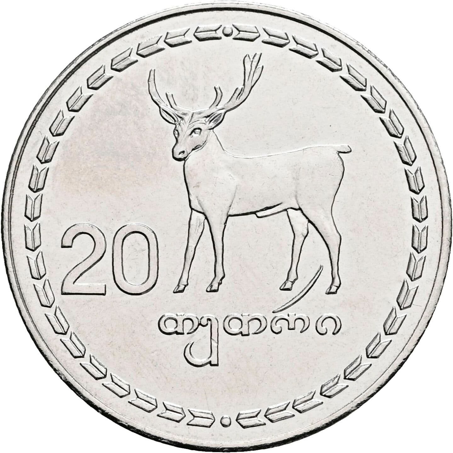 20 Tetri