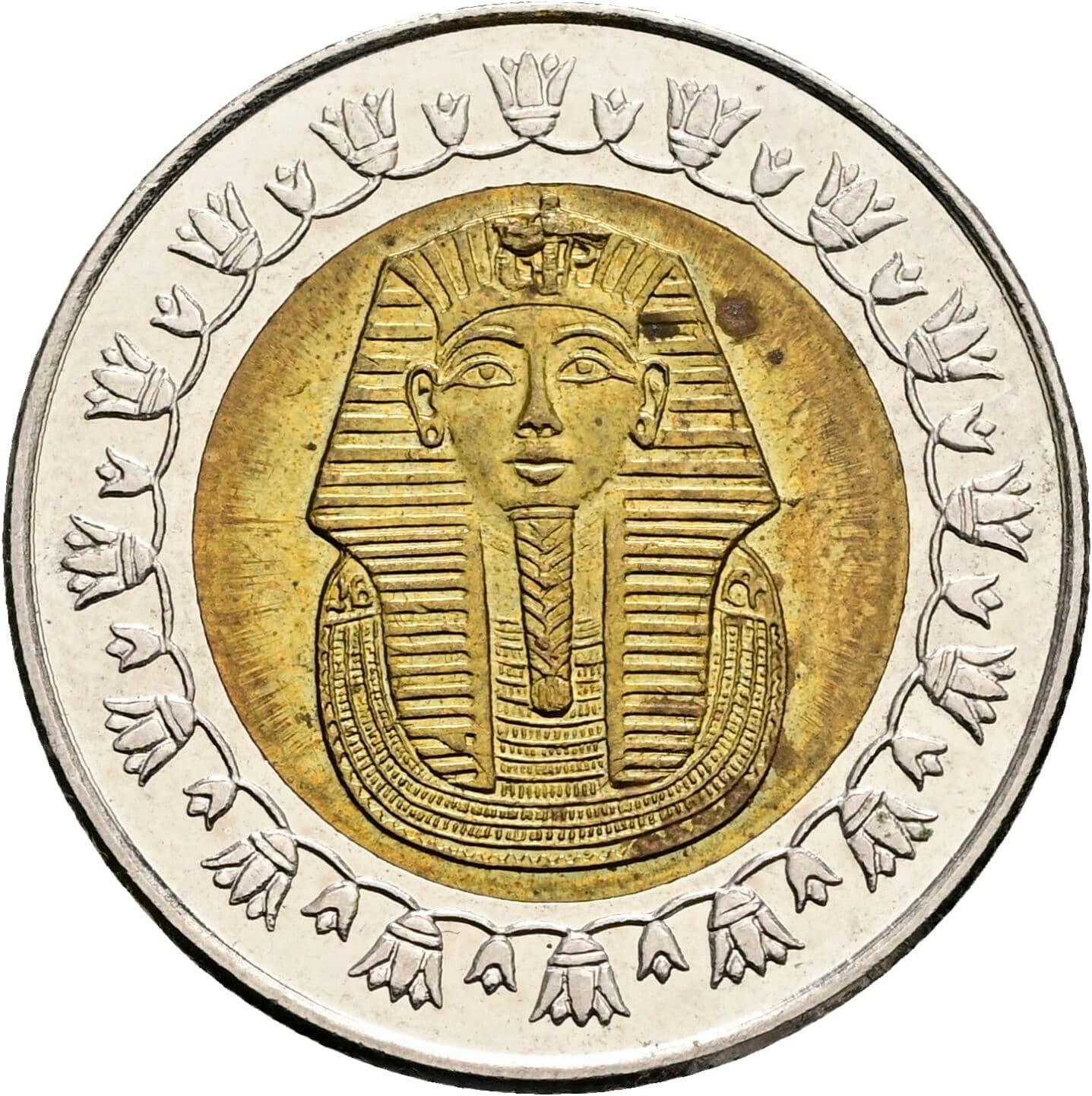 1 Pound 2007 (1428) – Rückseite