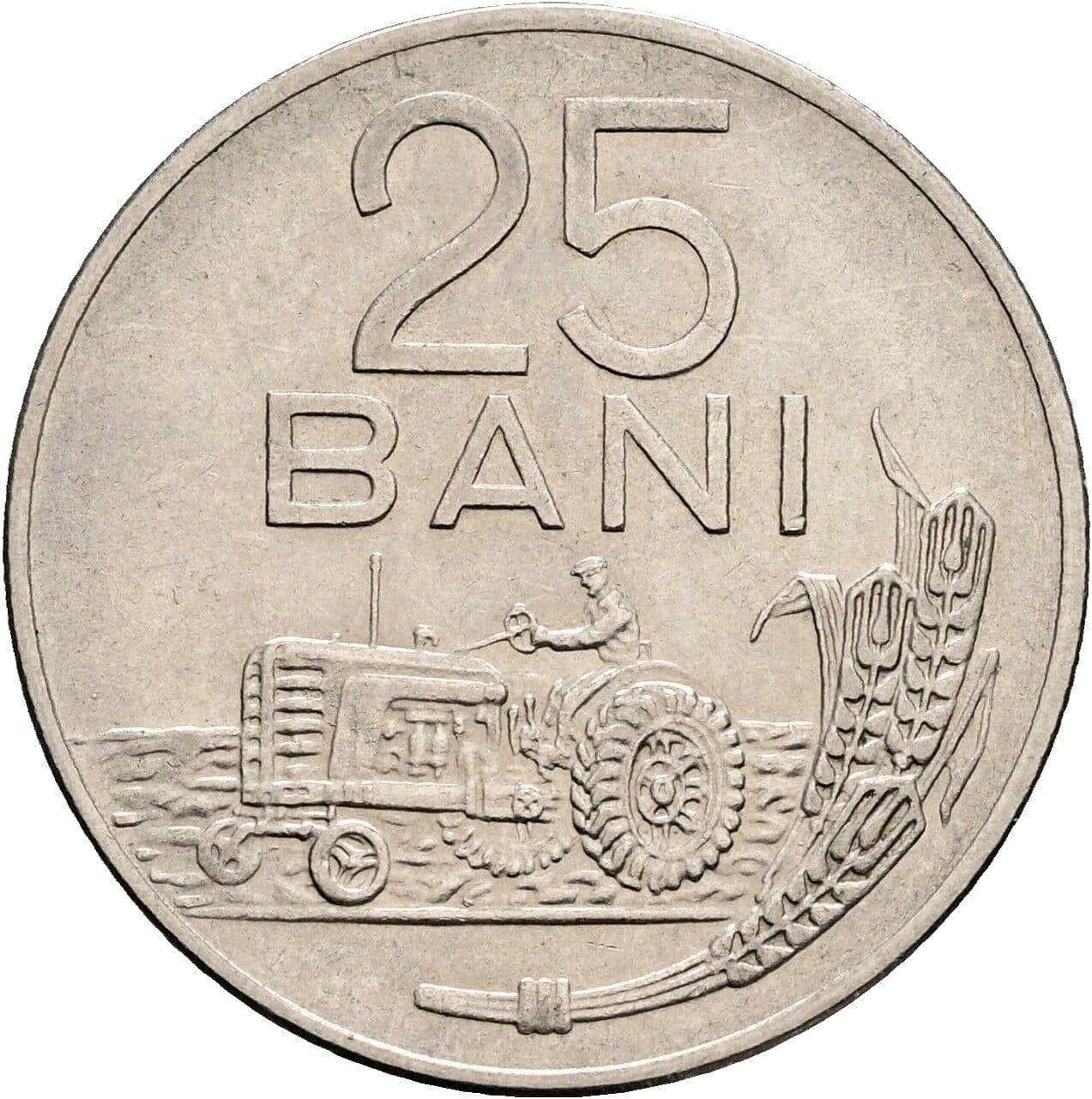 25 Bani