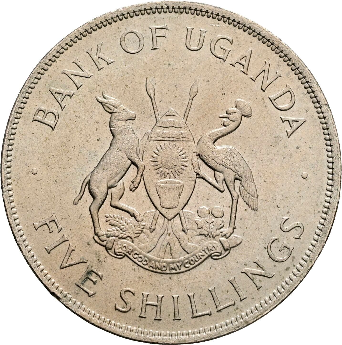 5 Shillings