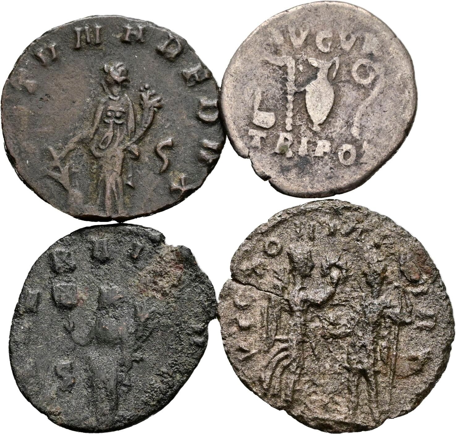 Denar, Folles/Antoniniane Vespasianus 69-79, unbestimmt – Rückseite