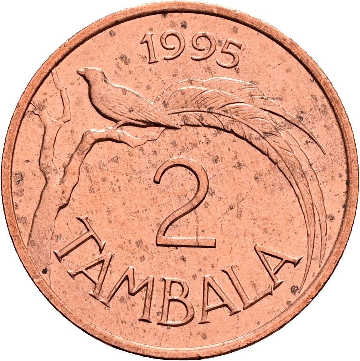 2 Tambala