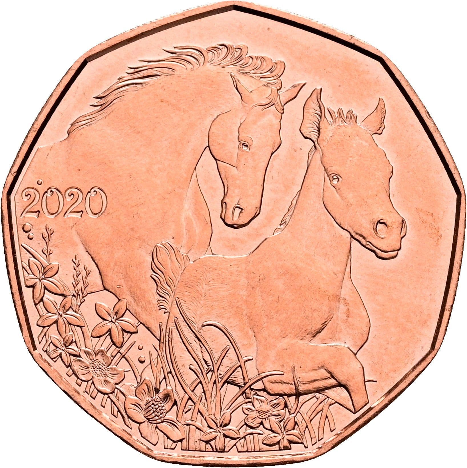 5 Euro 2020 – Rückseite