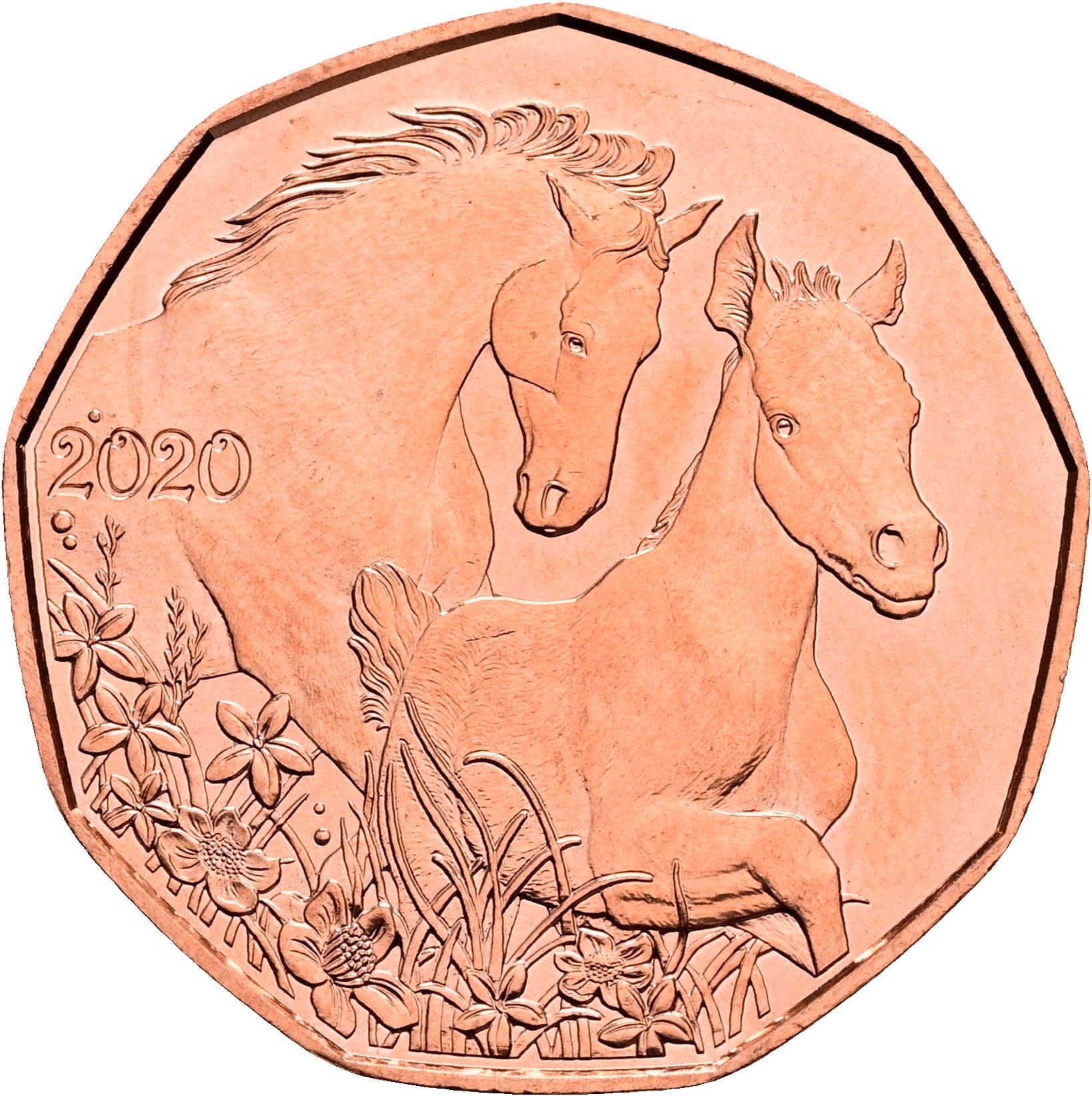 5 Euro 2020 – Rückseite
