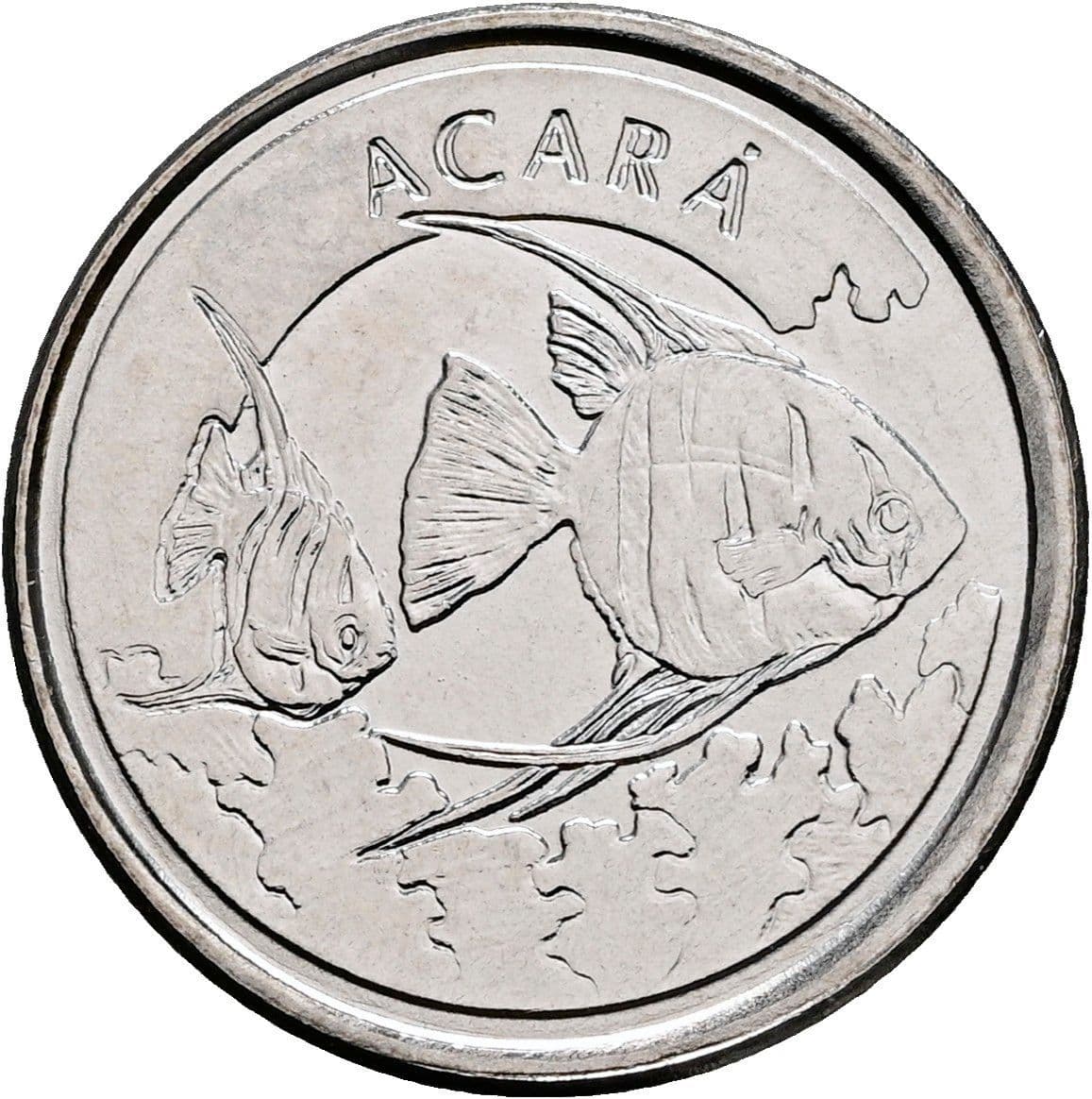 100 Cruzeiros 1993 – Rückseite