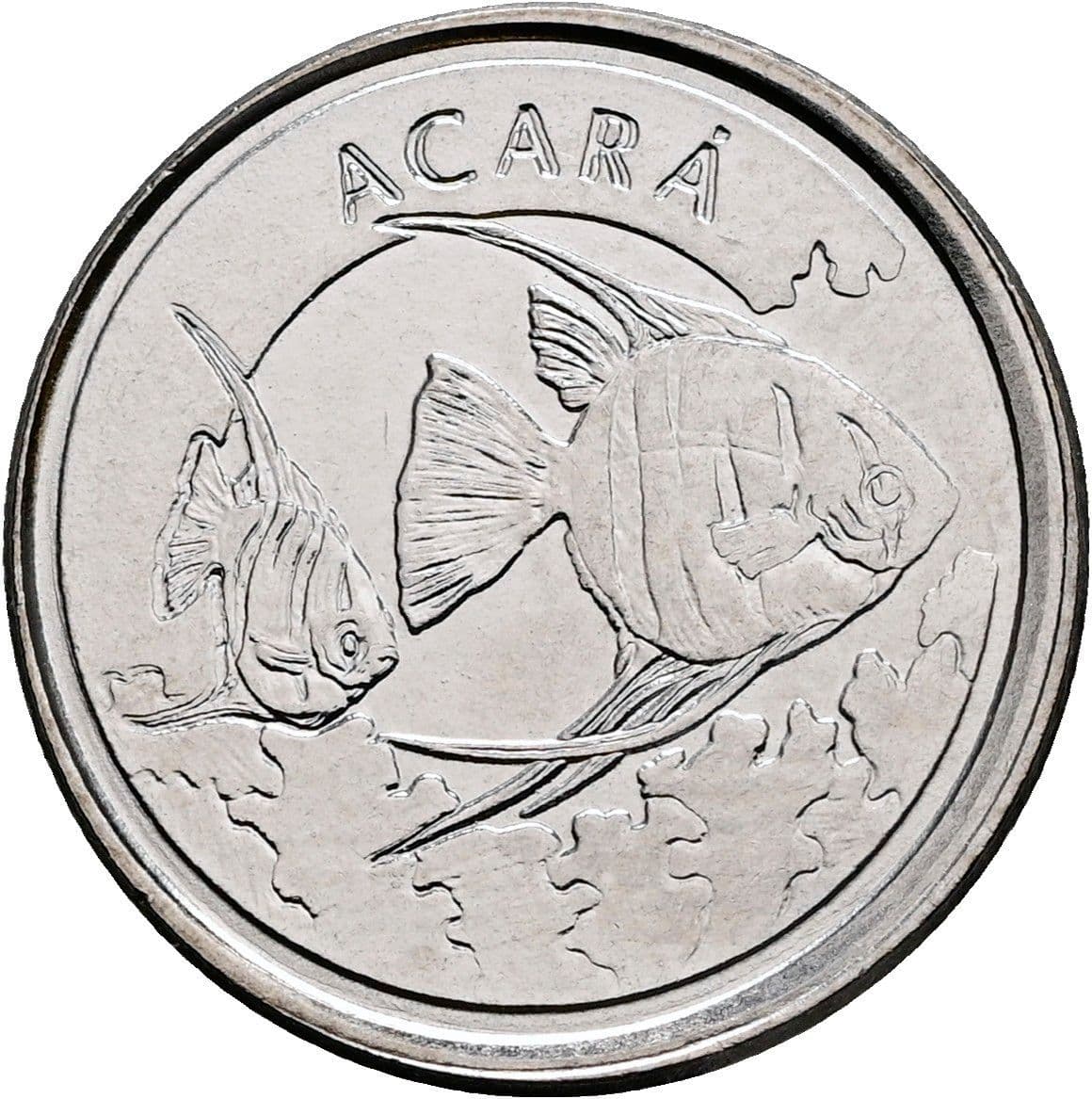 100 Cruzeiros 1993 – Rückseite