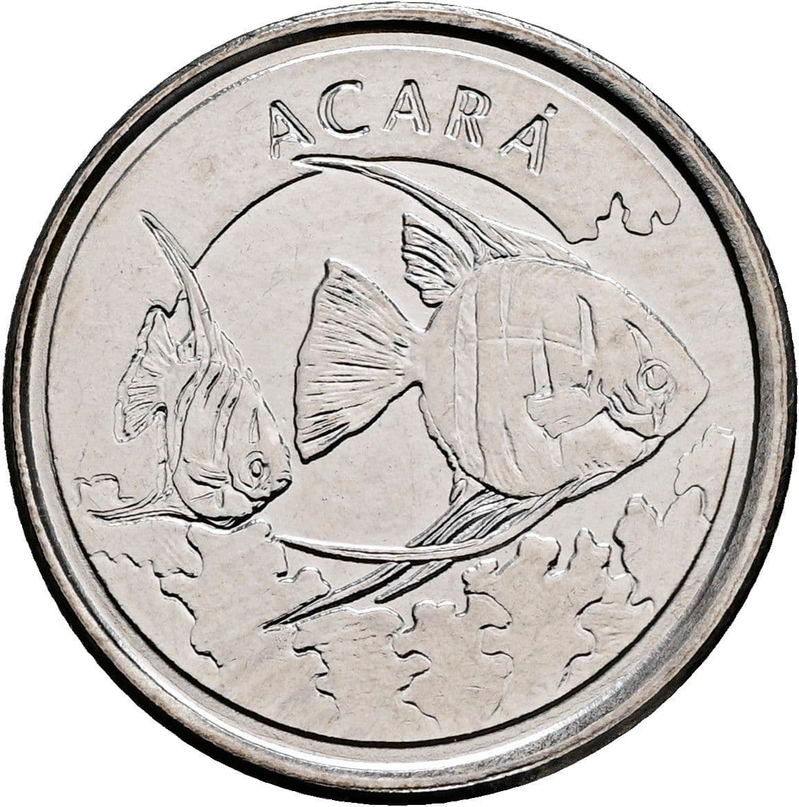 100 Cruzeiros 1993 – Rückseite