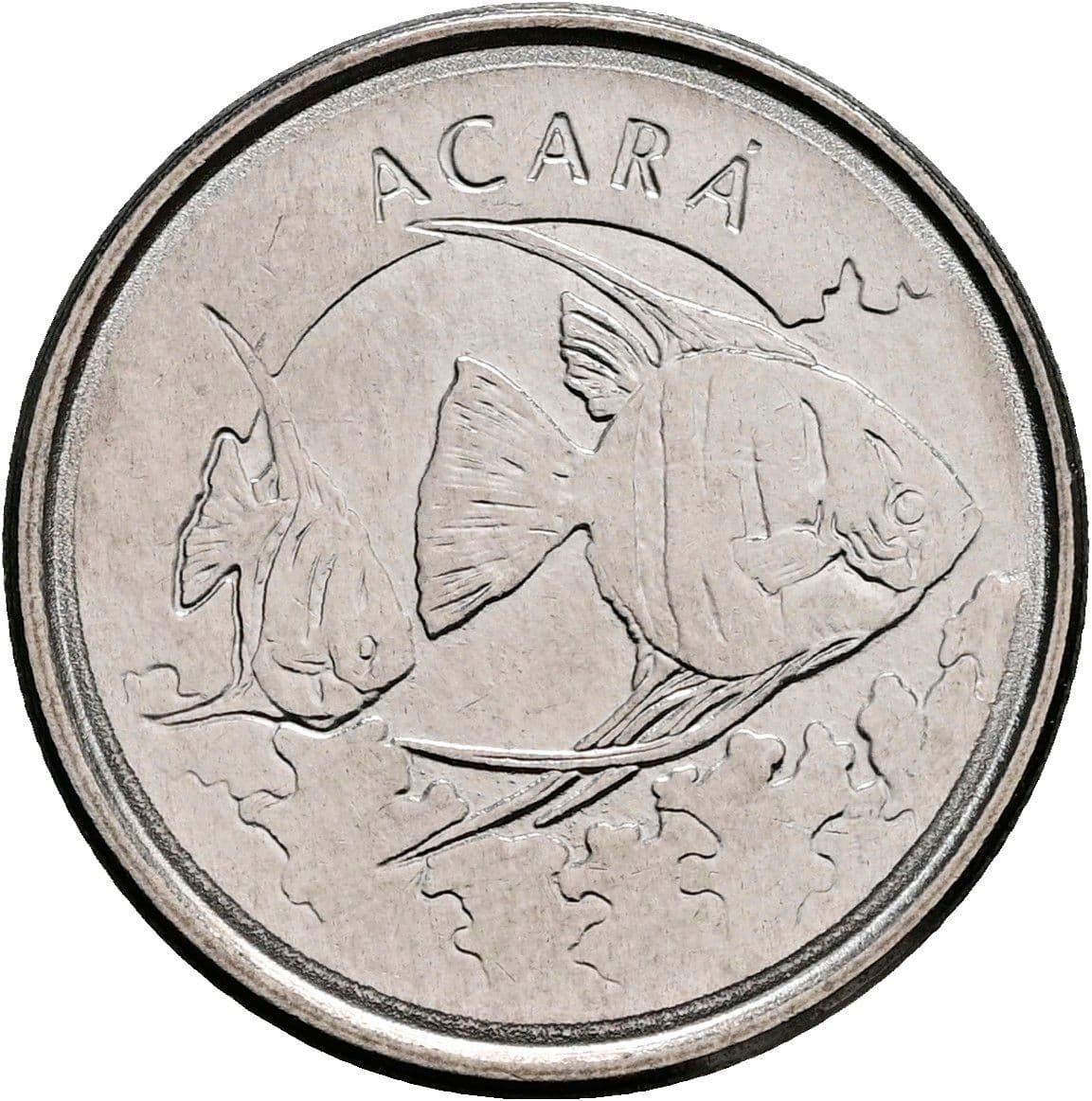 100 Cruzeiros 1993 – Rückseite