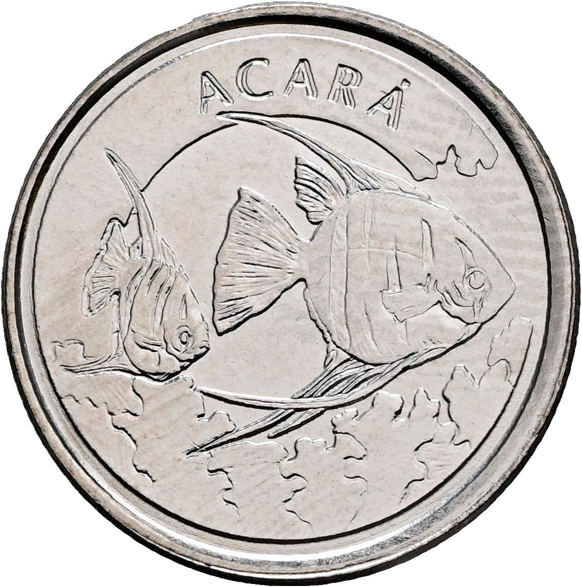 100 Cruzeiros 1993 – Rückseite