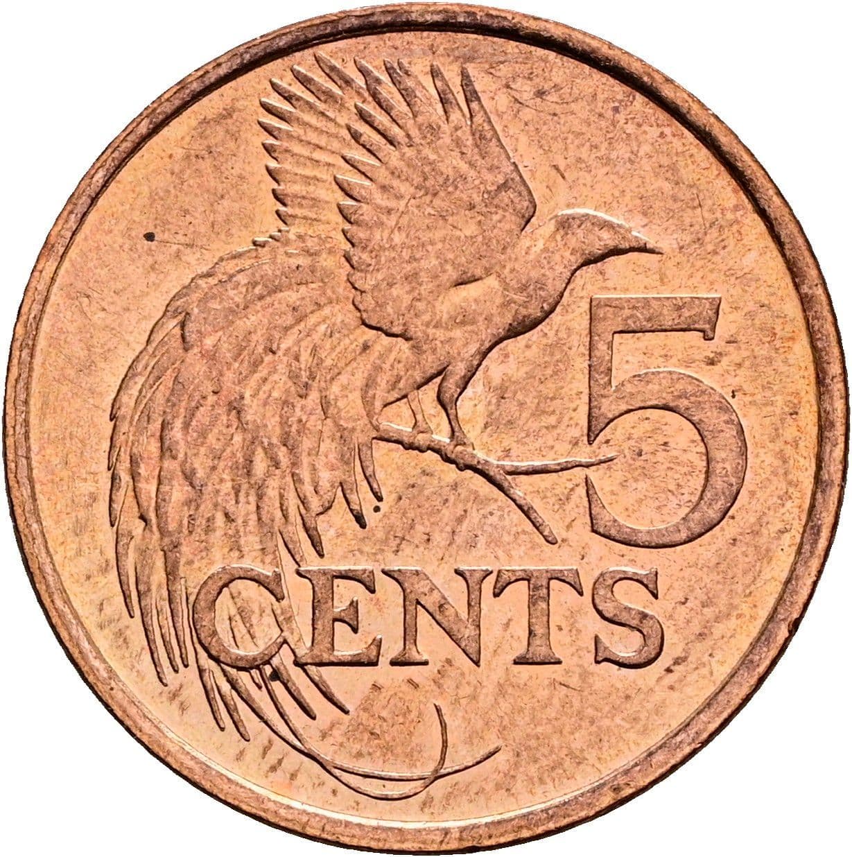 5 Cents