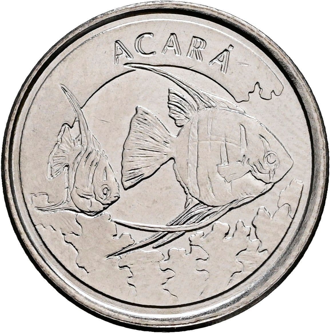 100 Cruzeiros 1993 – Rückseite