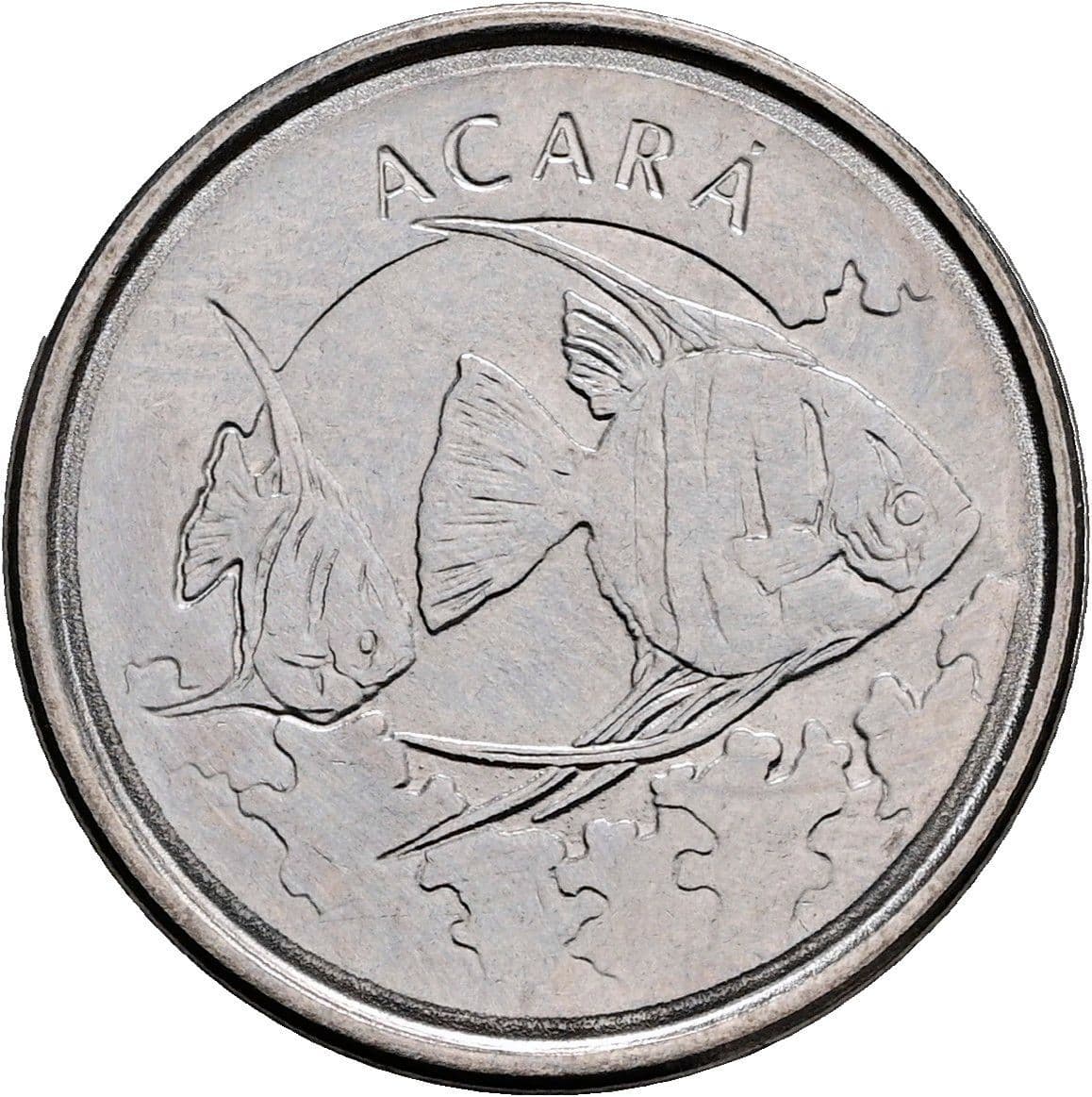 100 Cruzeiros 1993 – Rückseite