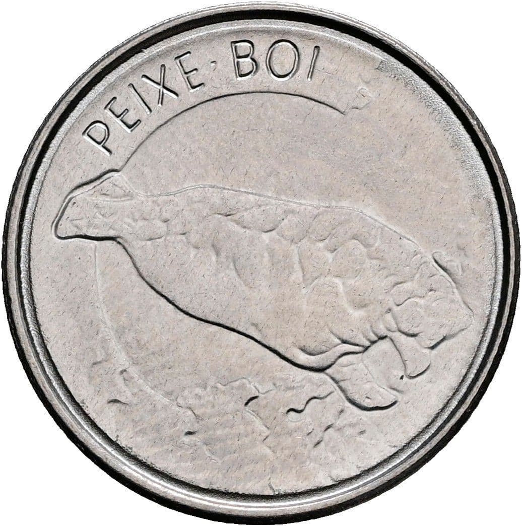 100 Cruzeiros 1993 – Rückseite