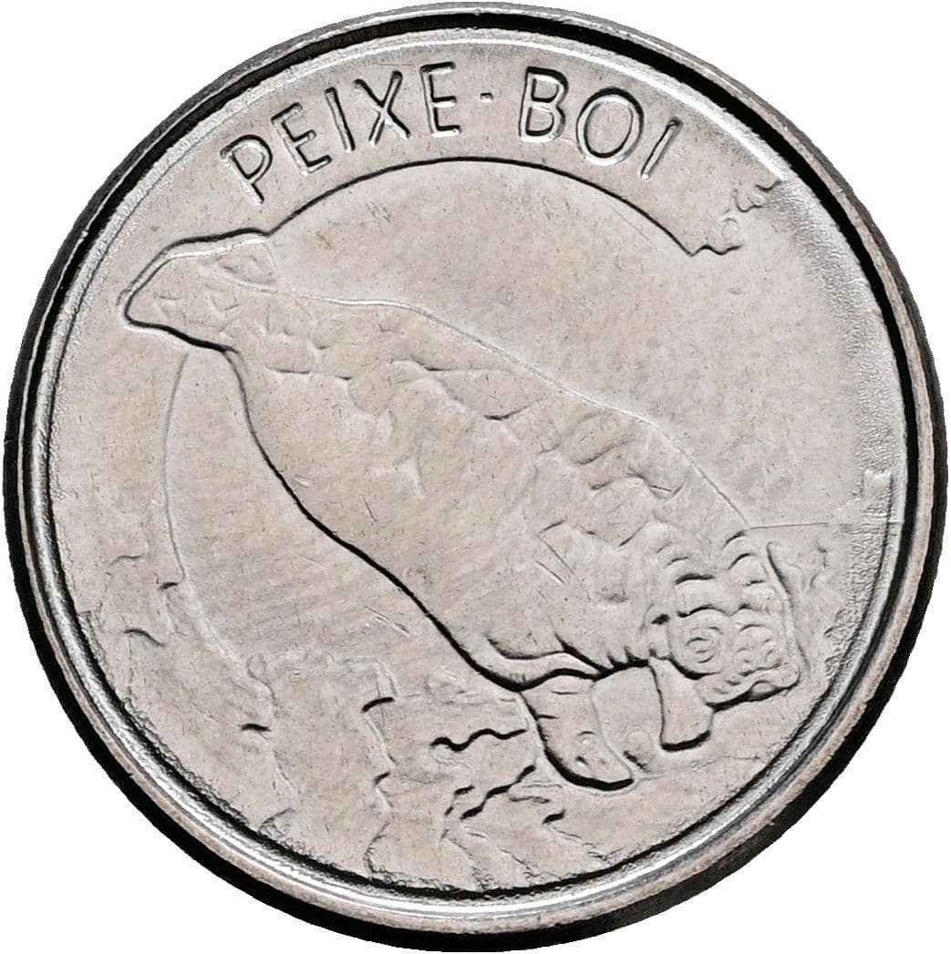 100 Cruzeiros 1993 – Rückseite