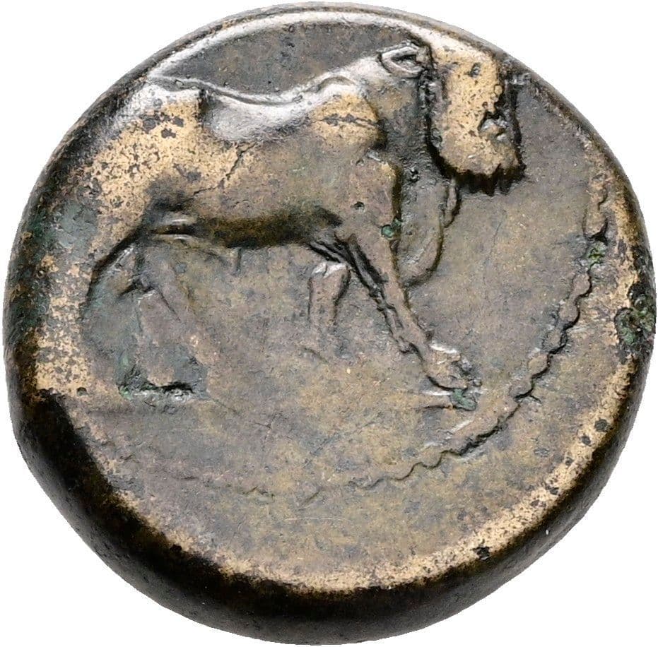 Bronzemünze Campania, Neapolis ca. 320-300 BC – Rückseite