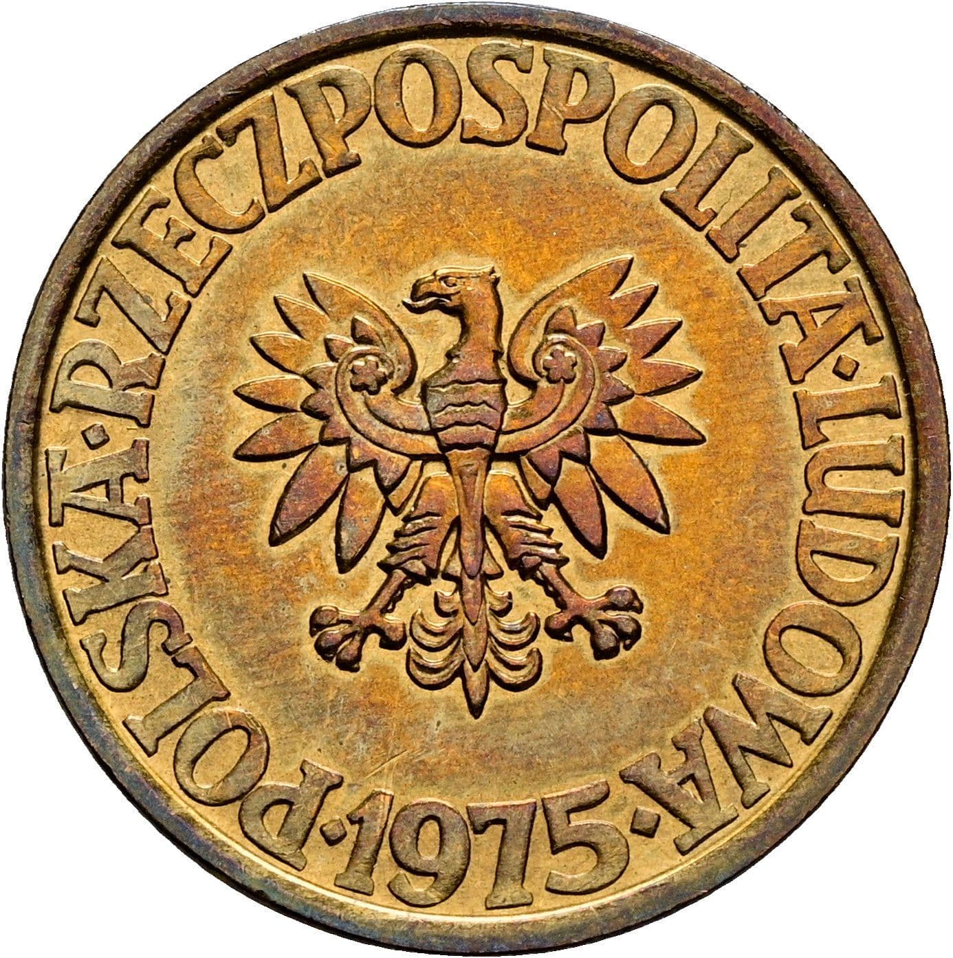 5 Zlotych