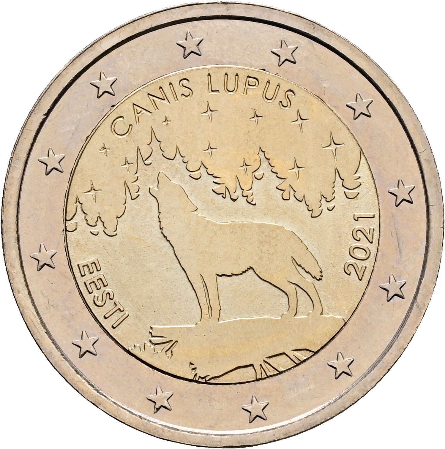 2 Euro 2021 – Rückseite