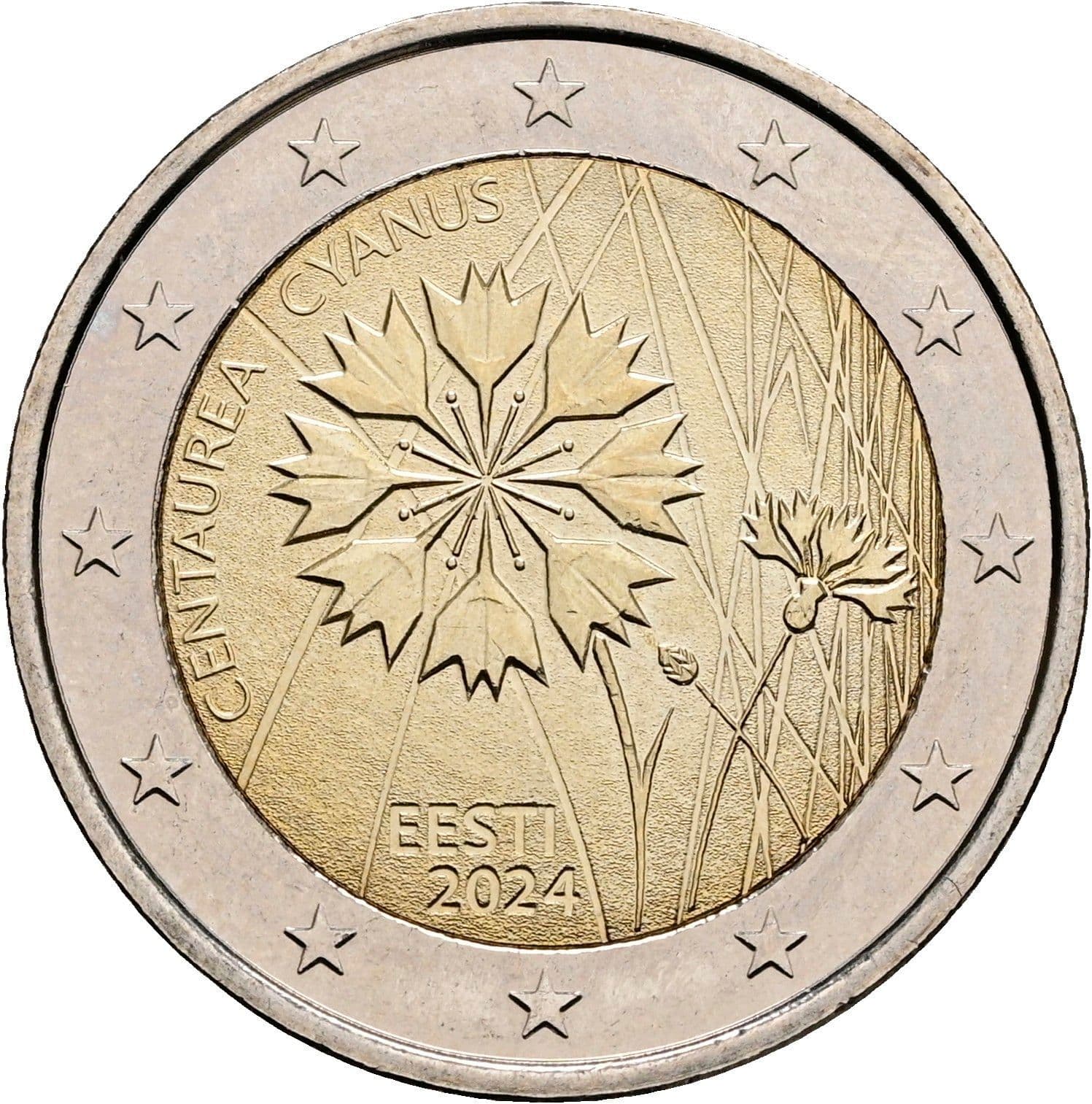 2 Euro 2024 – Rückseite
