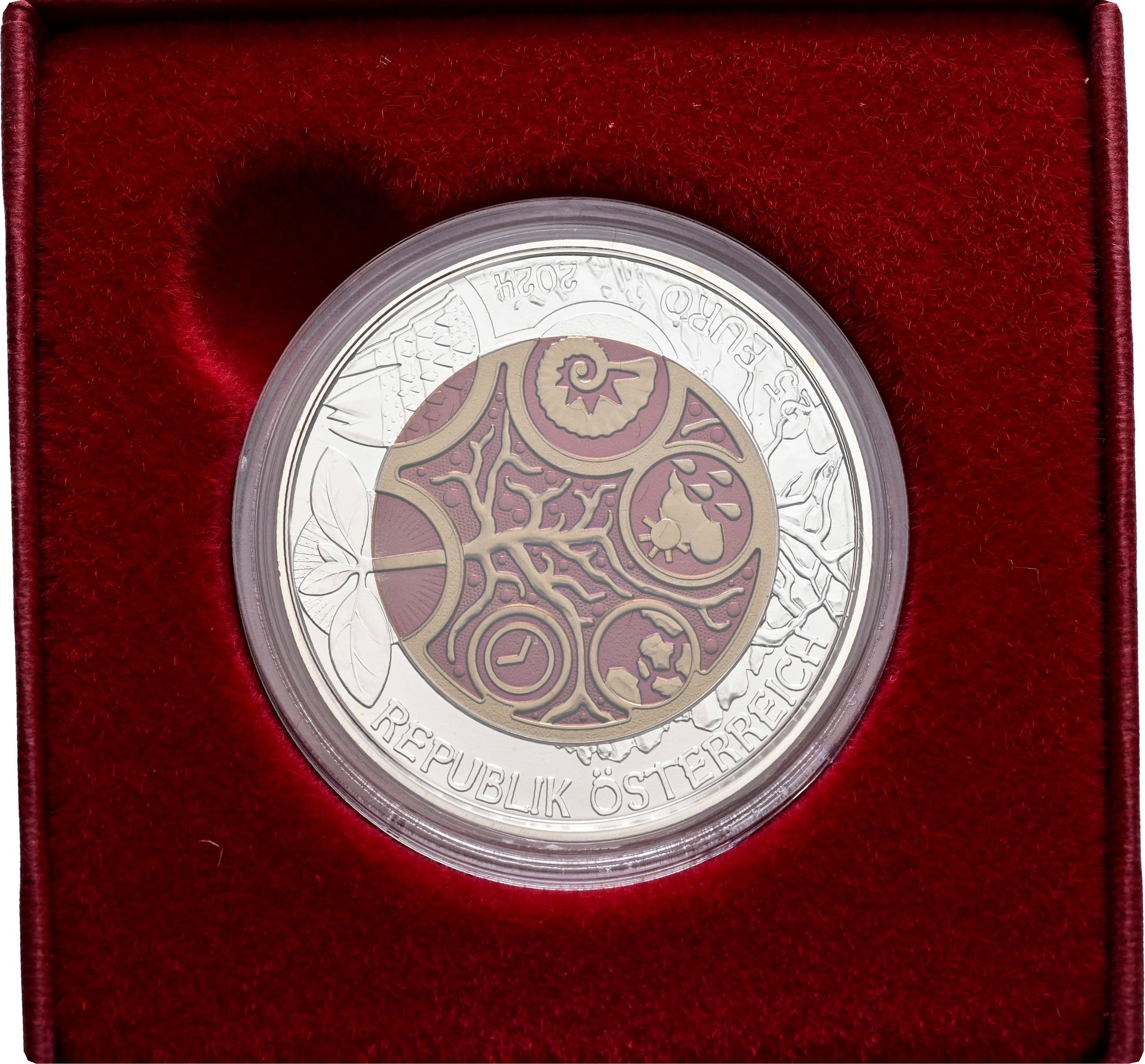 25 Euro Niob 2024 – Rückseite